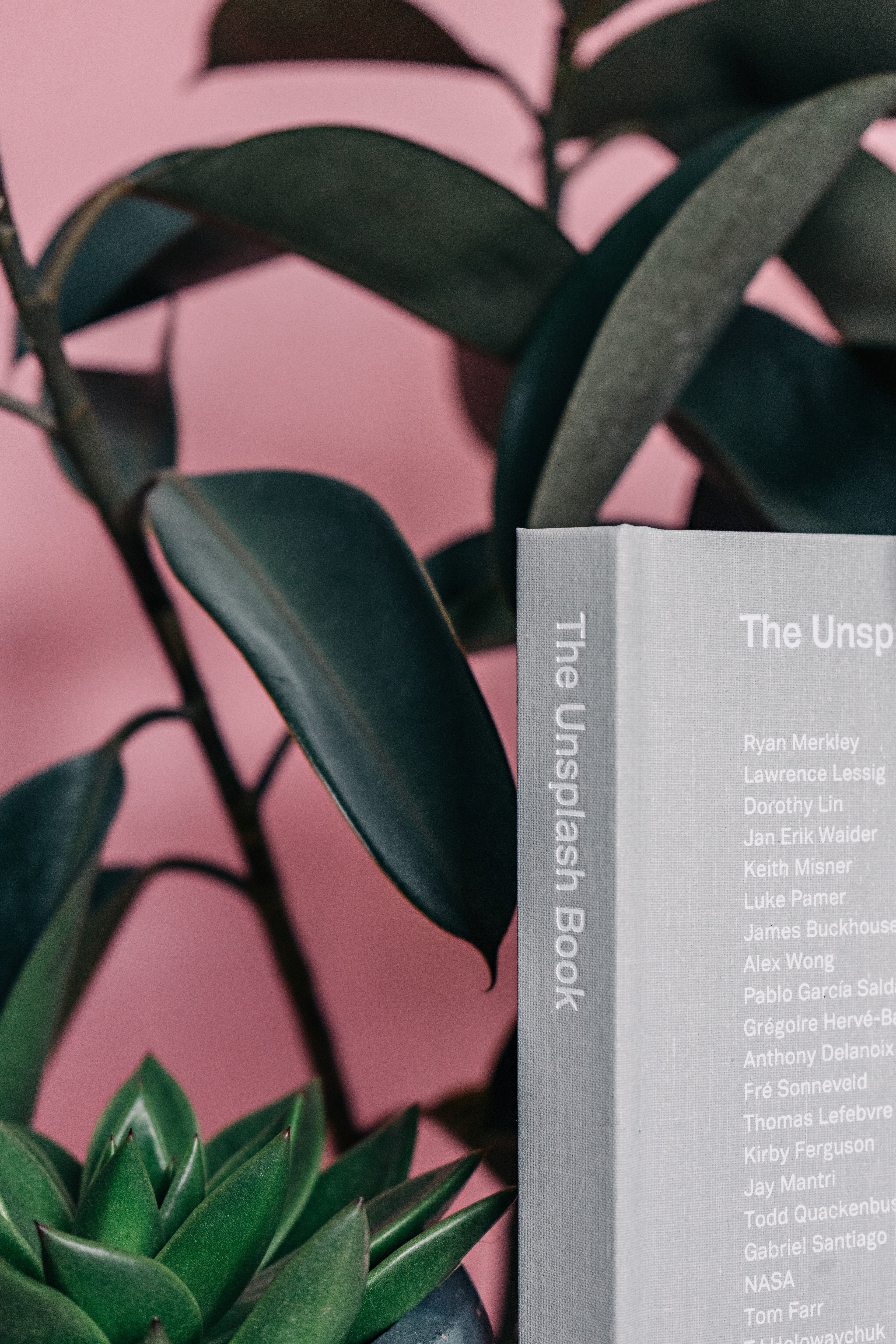 unsplash book sitting in front of indoor plants, unsplash book in front of plants 4k, Phone HD Wallpaper