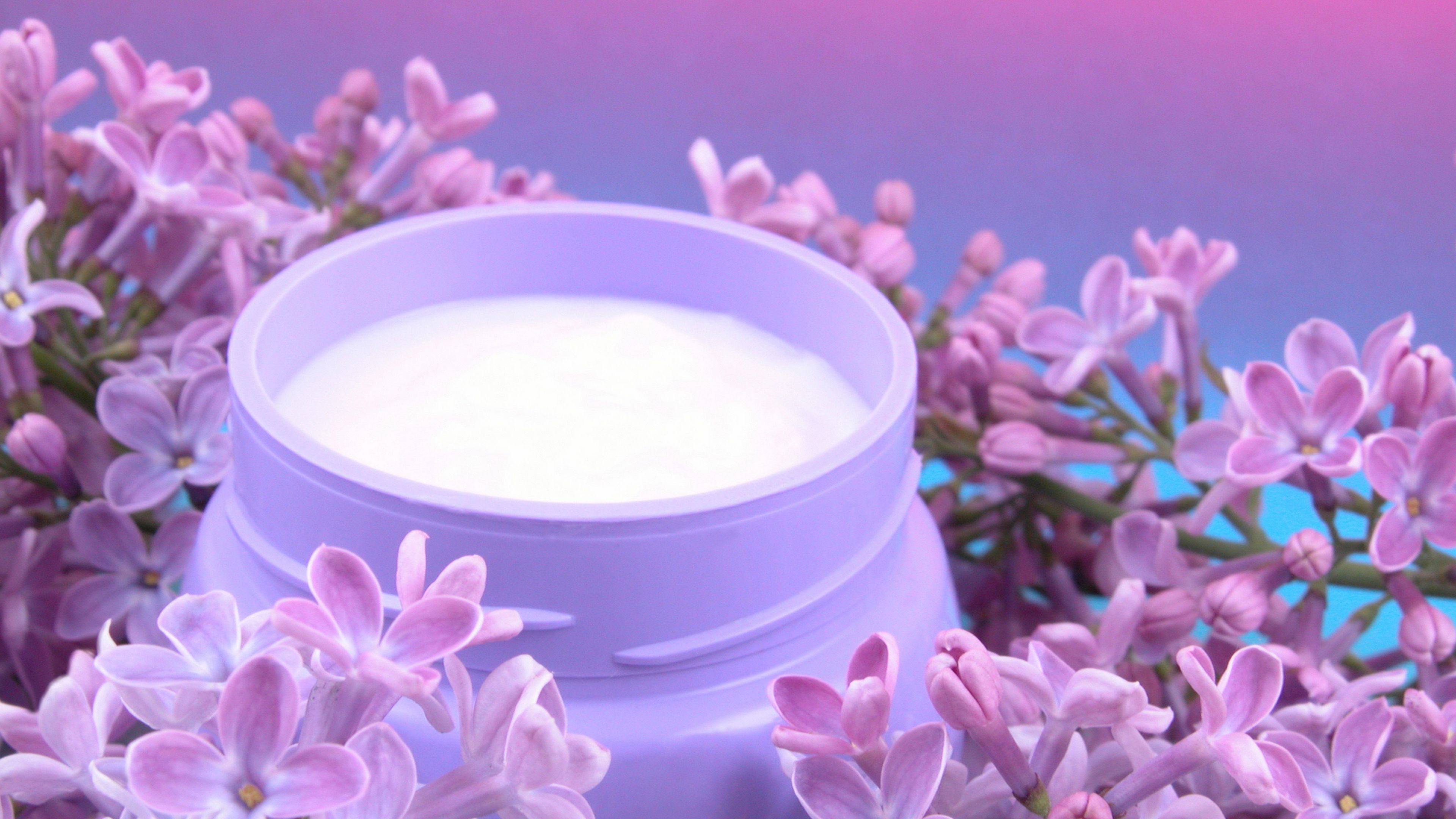 bank, cream, flowers, lilac, 4k, HD Wallpaper