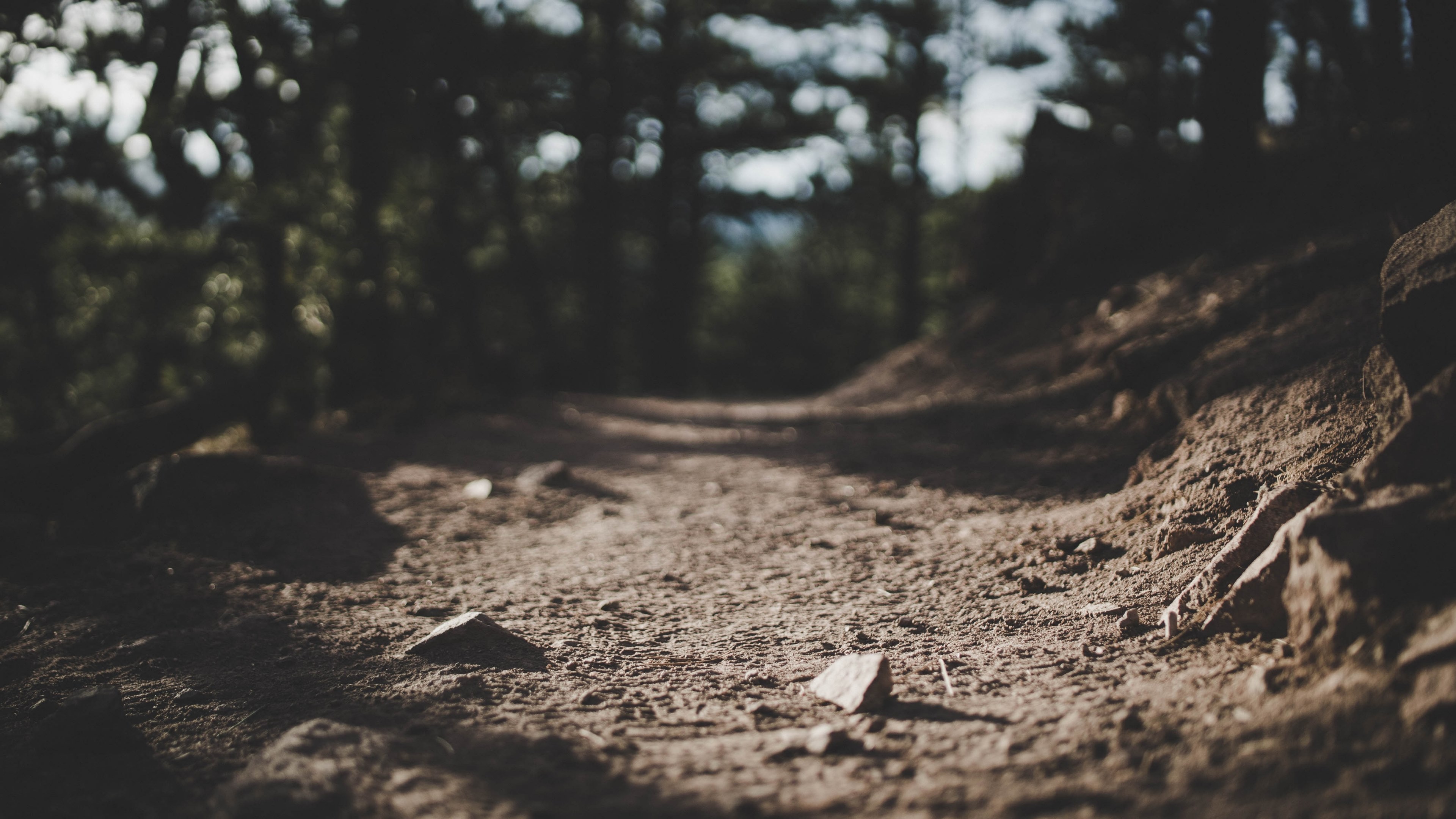 a macro shot of a dirt path in mount sanitas trail in boulder colorado, focus on the right path 4k, HD Wallpaper