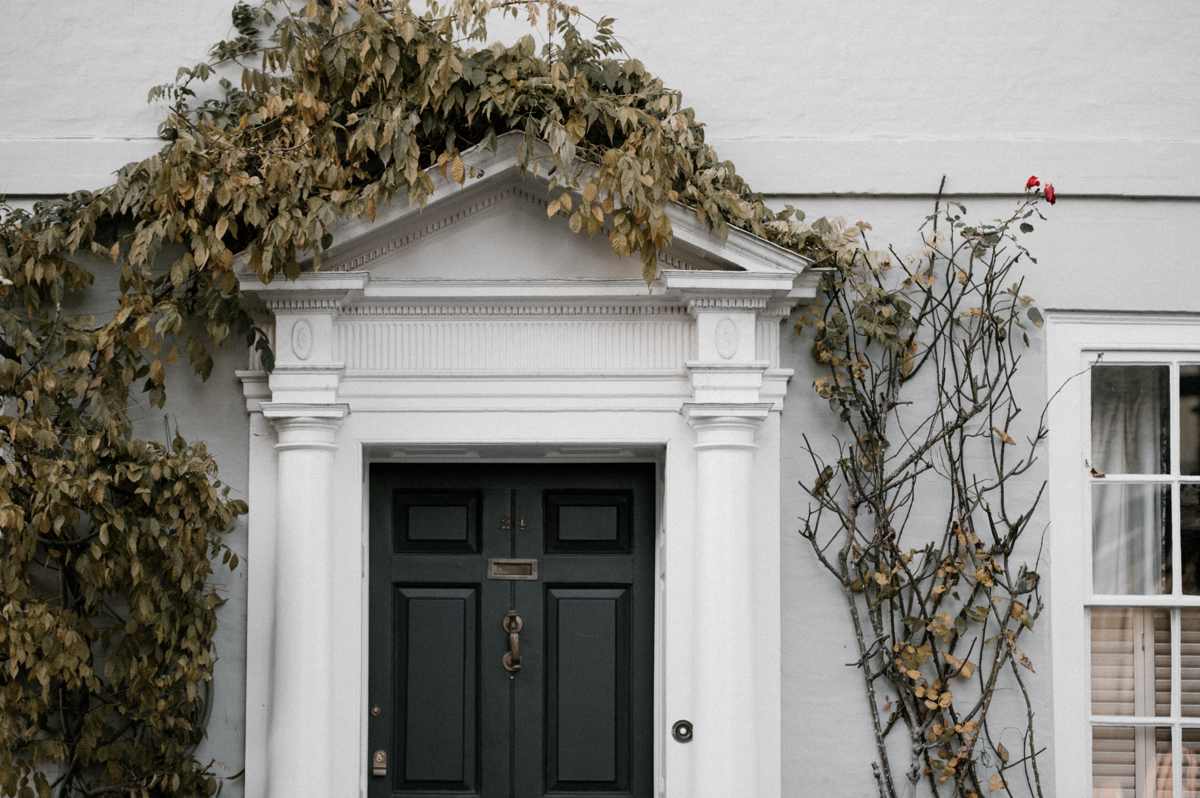 door and ivy 4k, HD Wallpaper