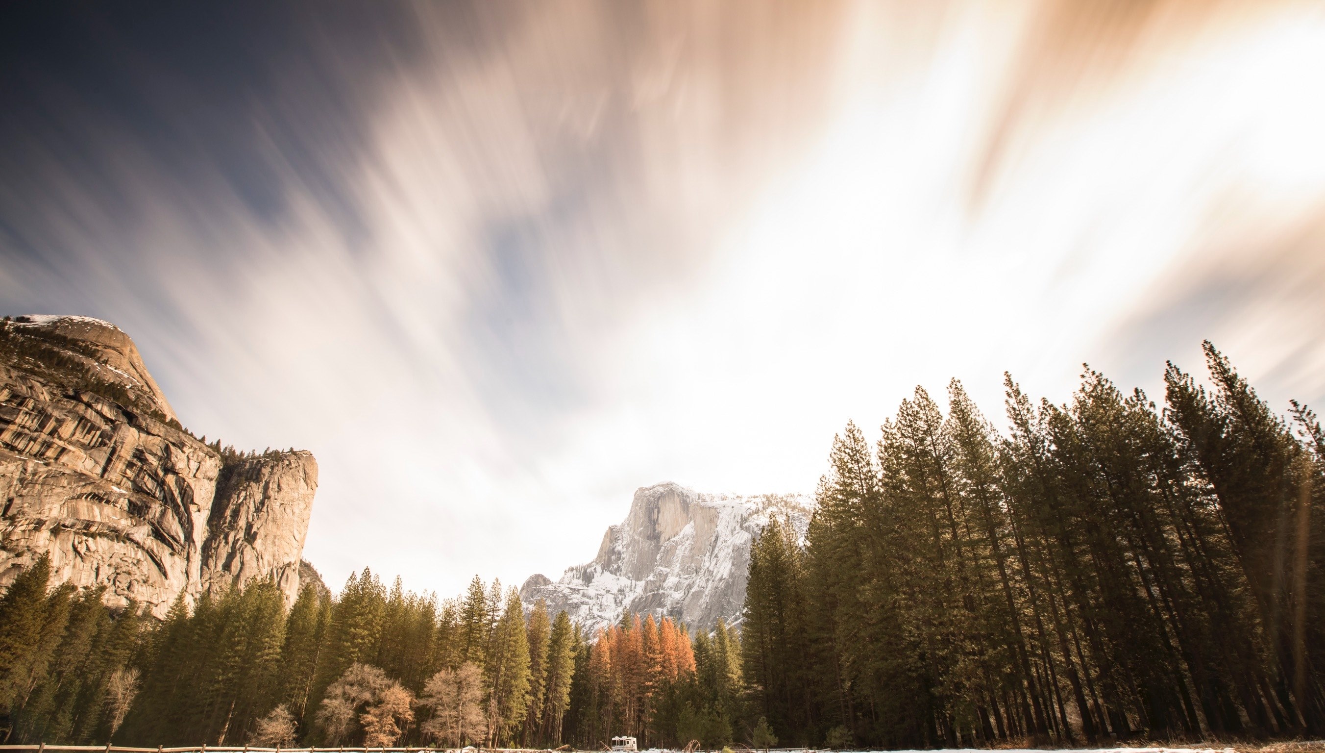 mountain tree forest and woodland 4k, HD Wallpaper