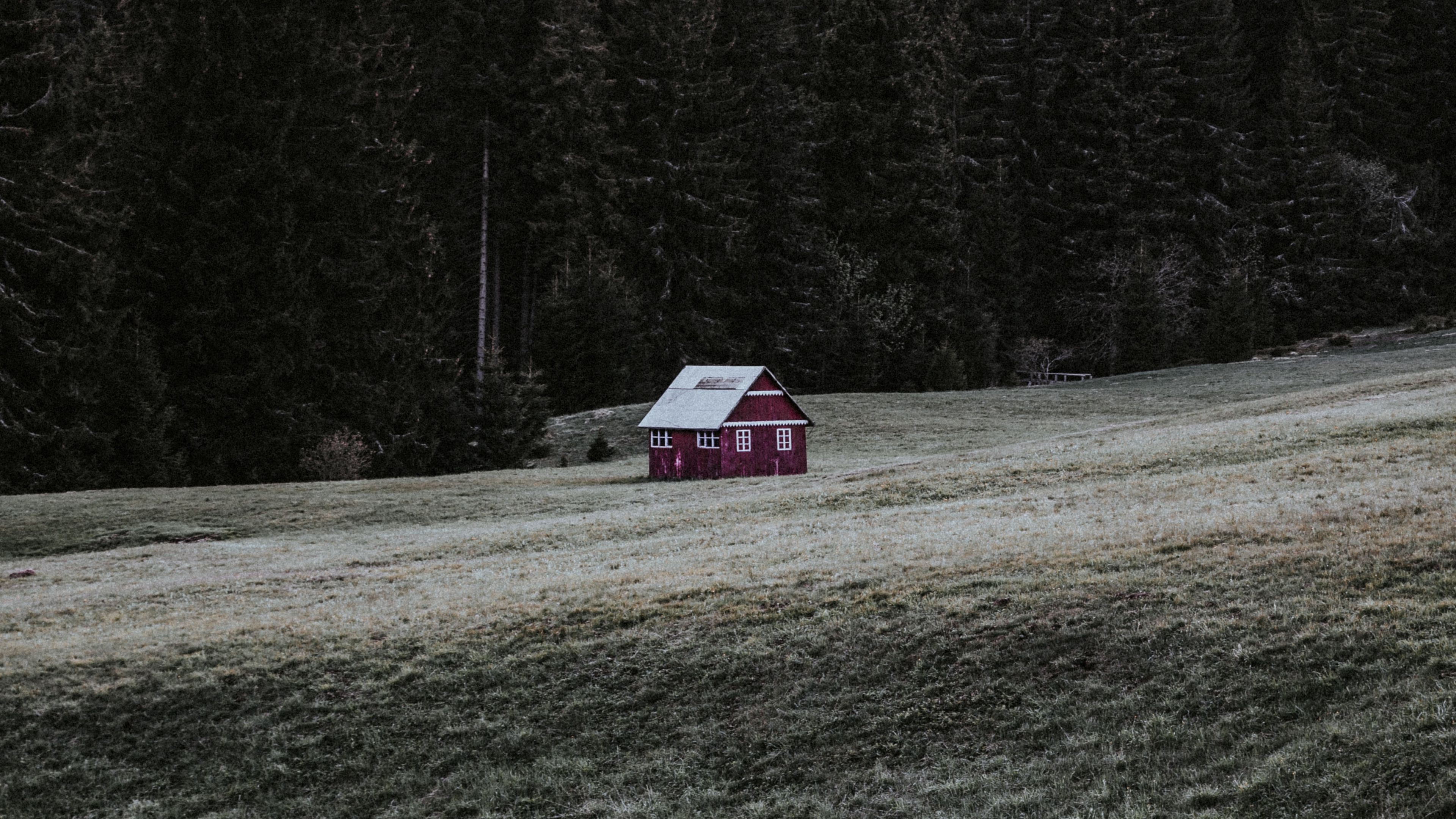 house, building, forest, field, grass, 4k, HD Wallpaper