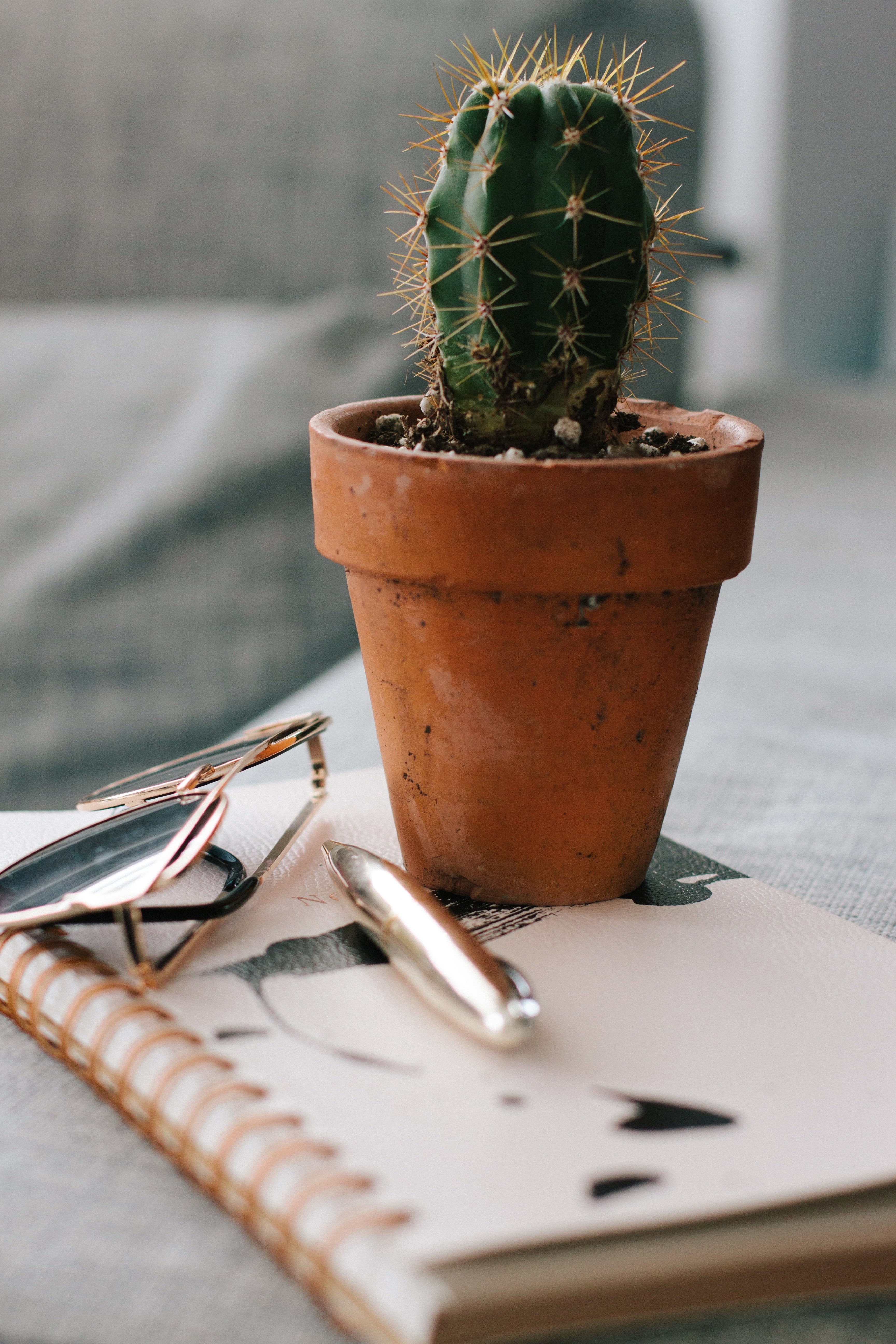 a cactus plant sunglasses and pen sitting on top of a notebook in vancouver, working from home 4k, Phone HD Wallpaper