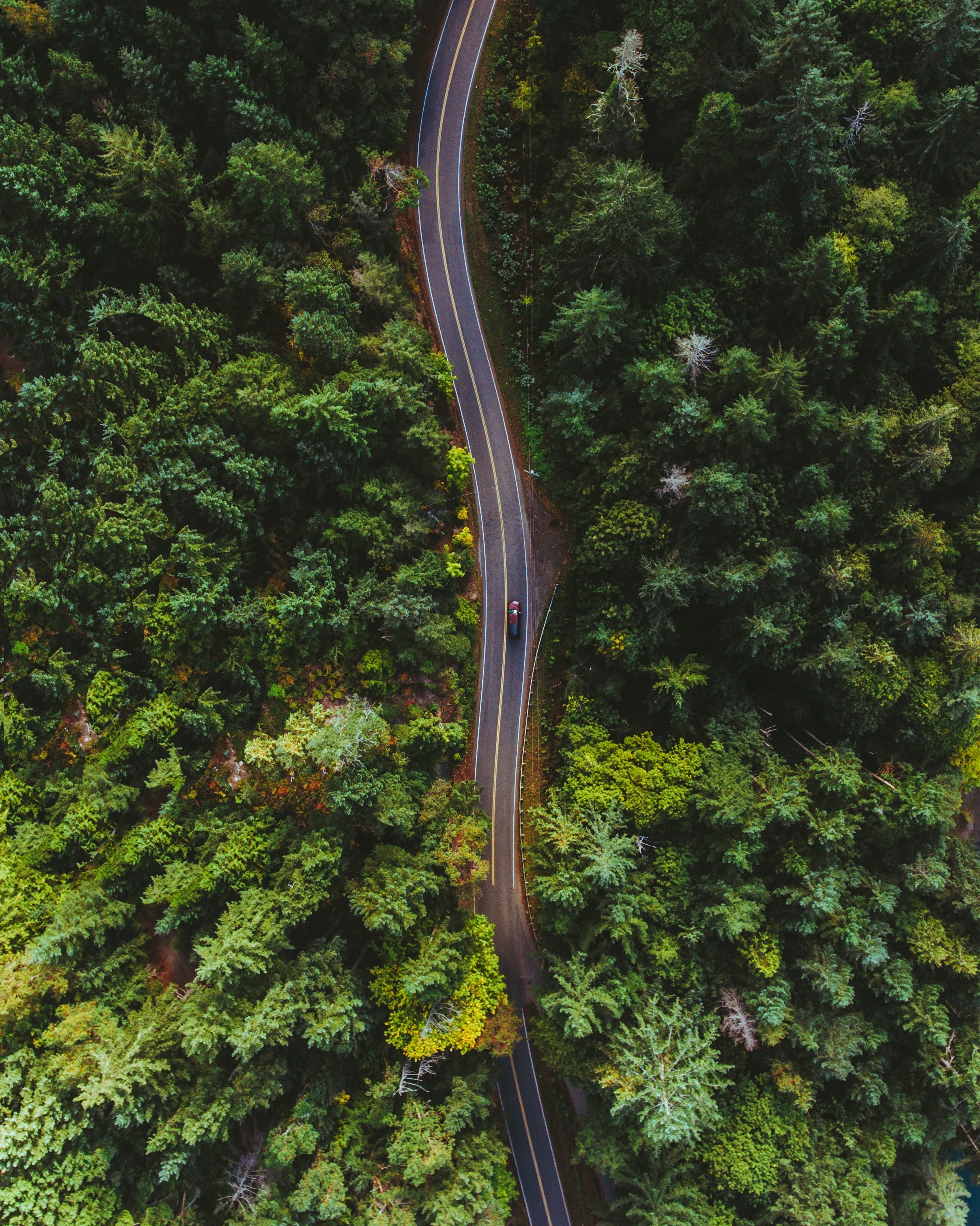 find your path 4k, Phone HD Wallpaper