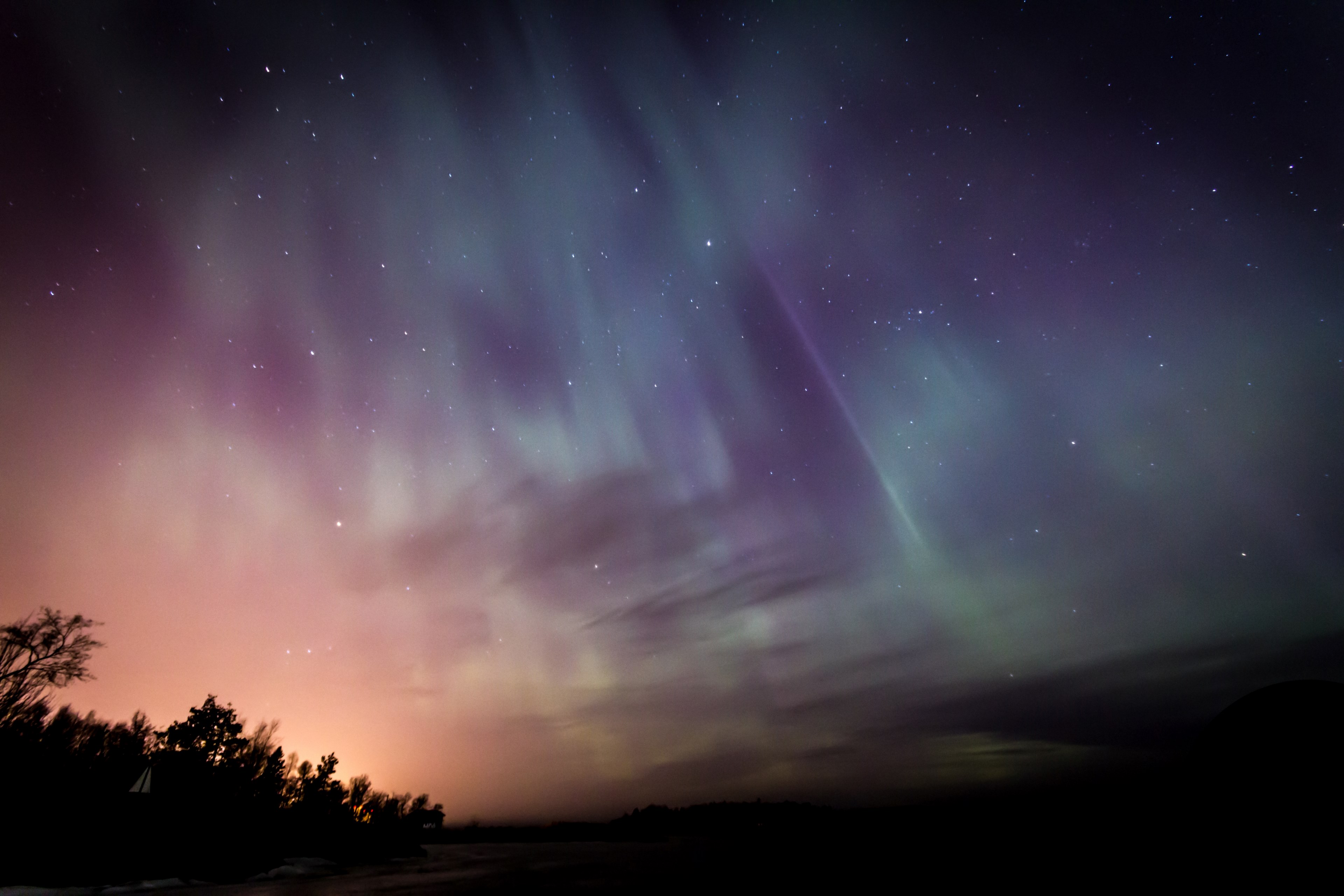 the northern lights fill the entire night sky over the silhouette of trees, _northern lights night sky 4k, HD Wallpaper