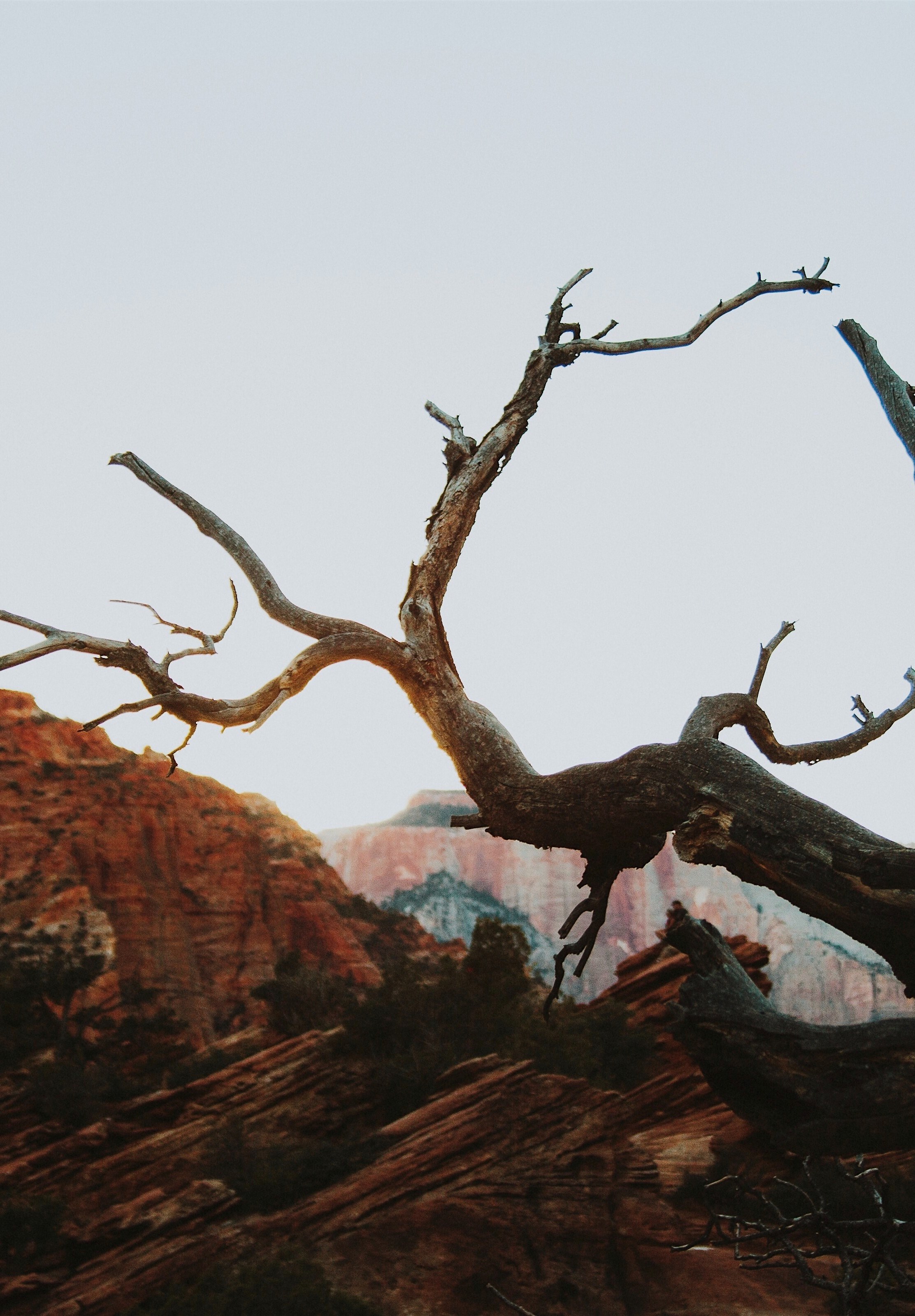 sunset at zion 4k, Phone HD Wallpaper