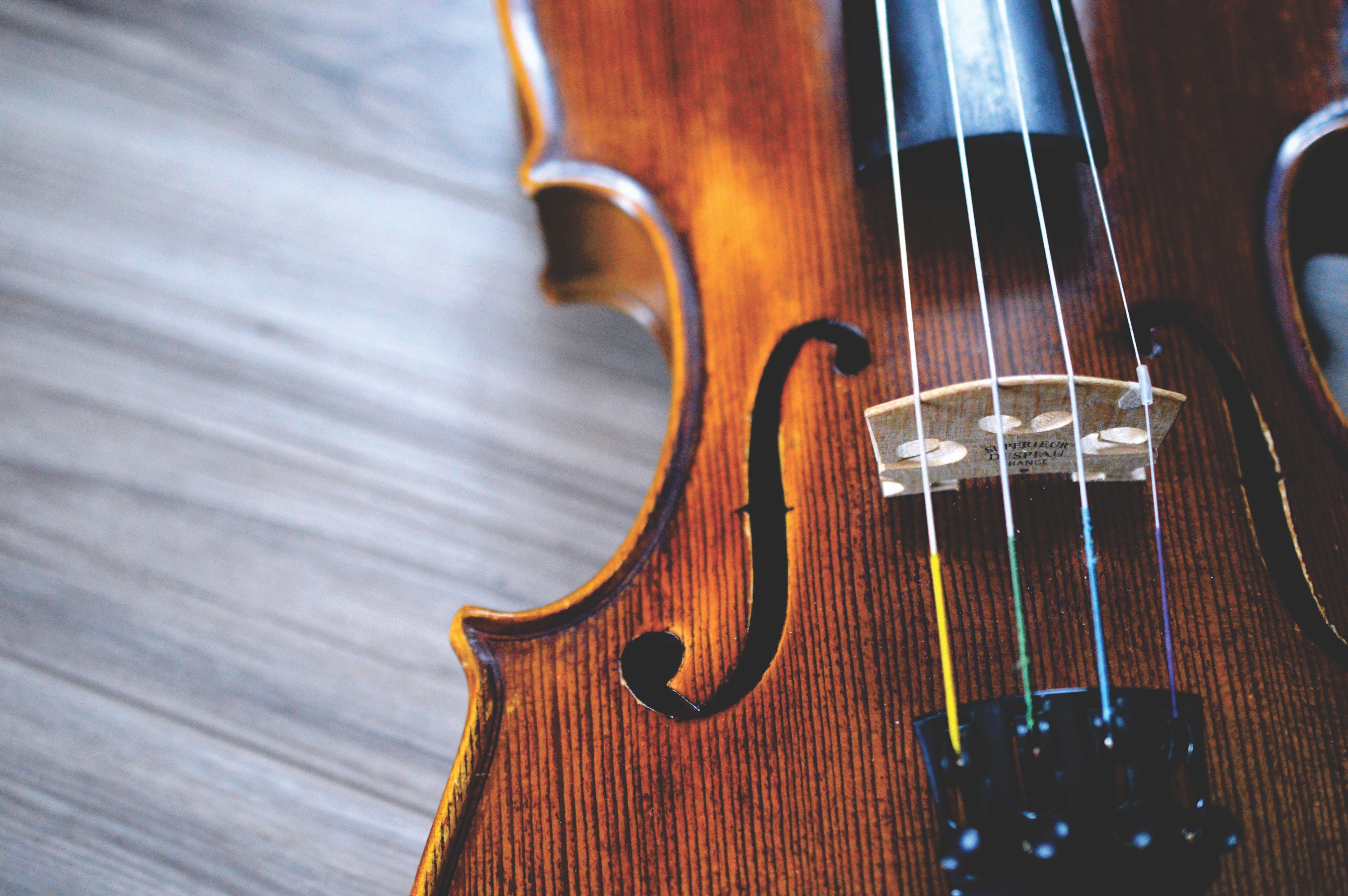 a close up of a side of a violin, violin strings in close up 4k, HD Wallpaper