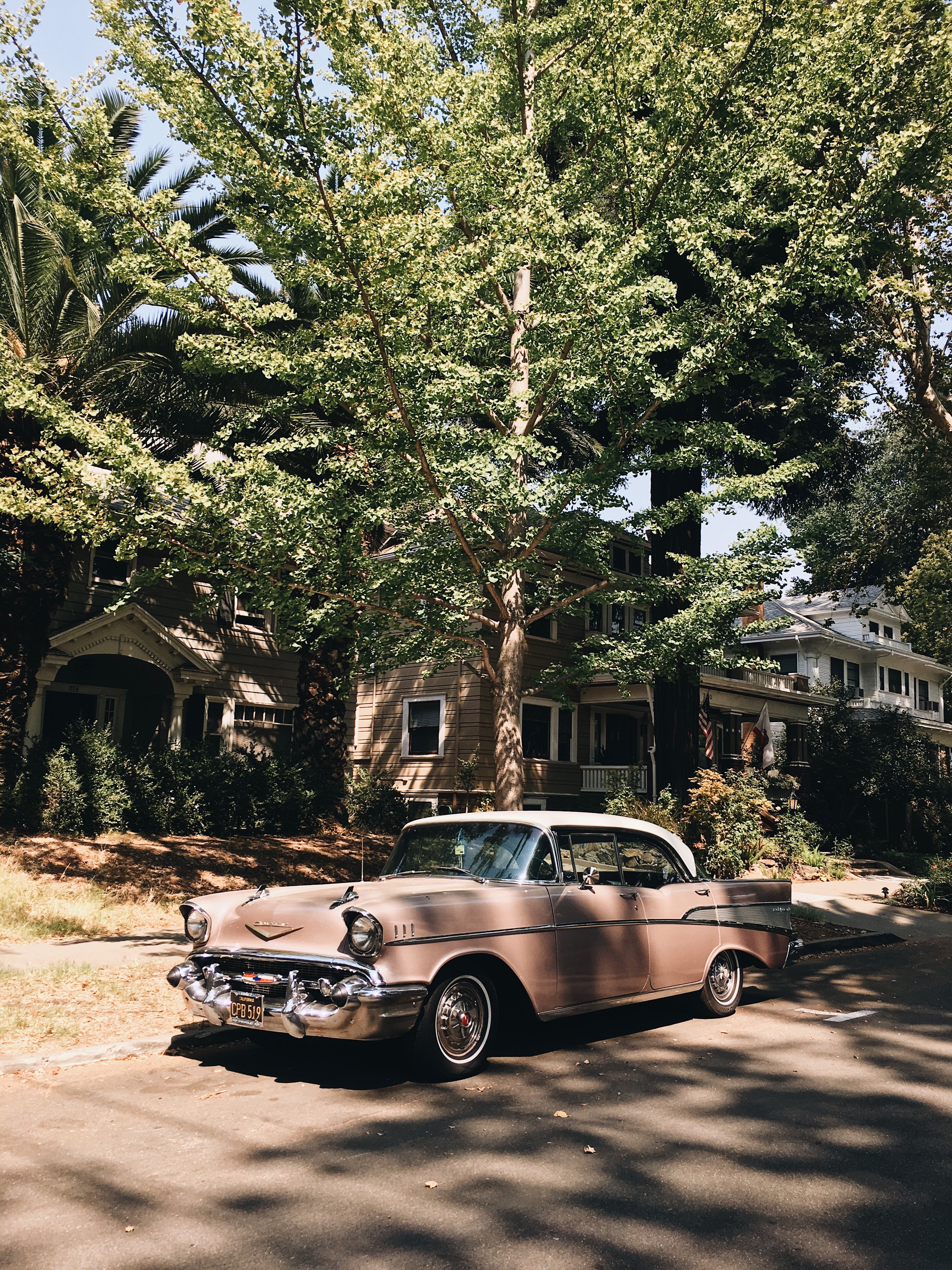 classic car tree retro and car hd, 4k, Phone HD Wallpaper
