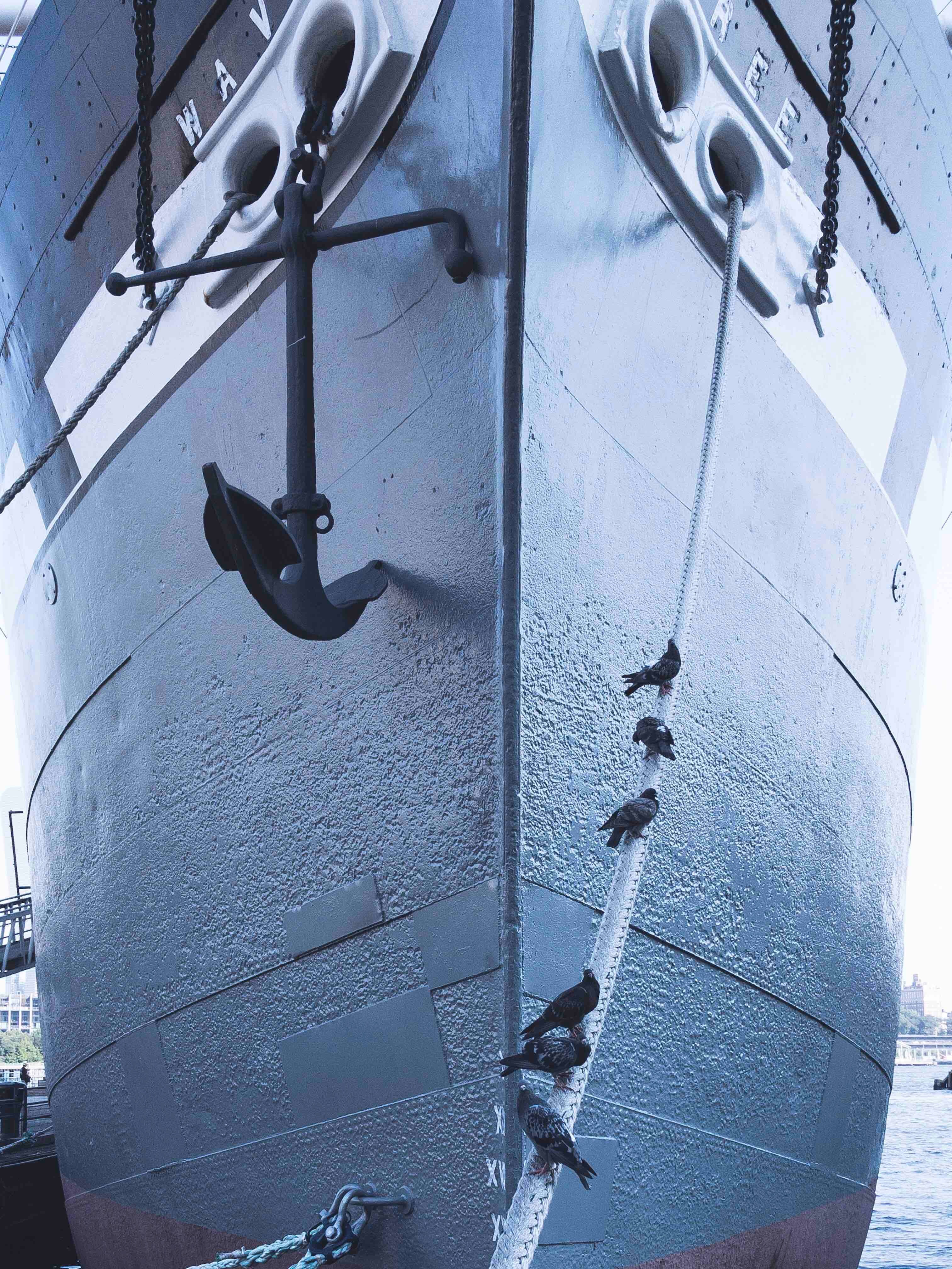 birds sitting on a rope in front of a large ship, now boarding 4k, Phone HD Wallpaper