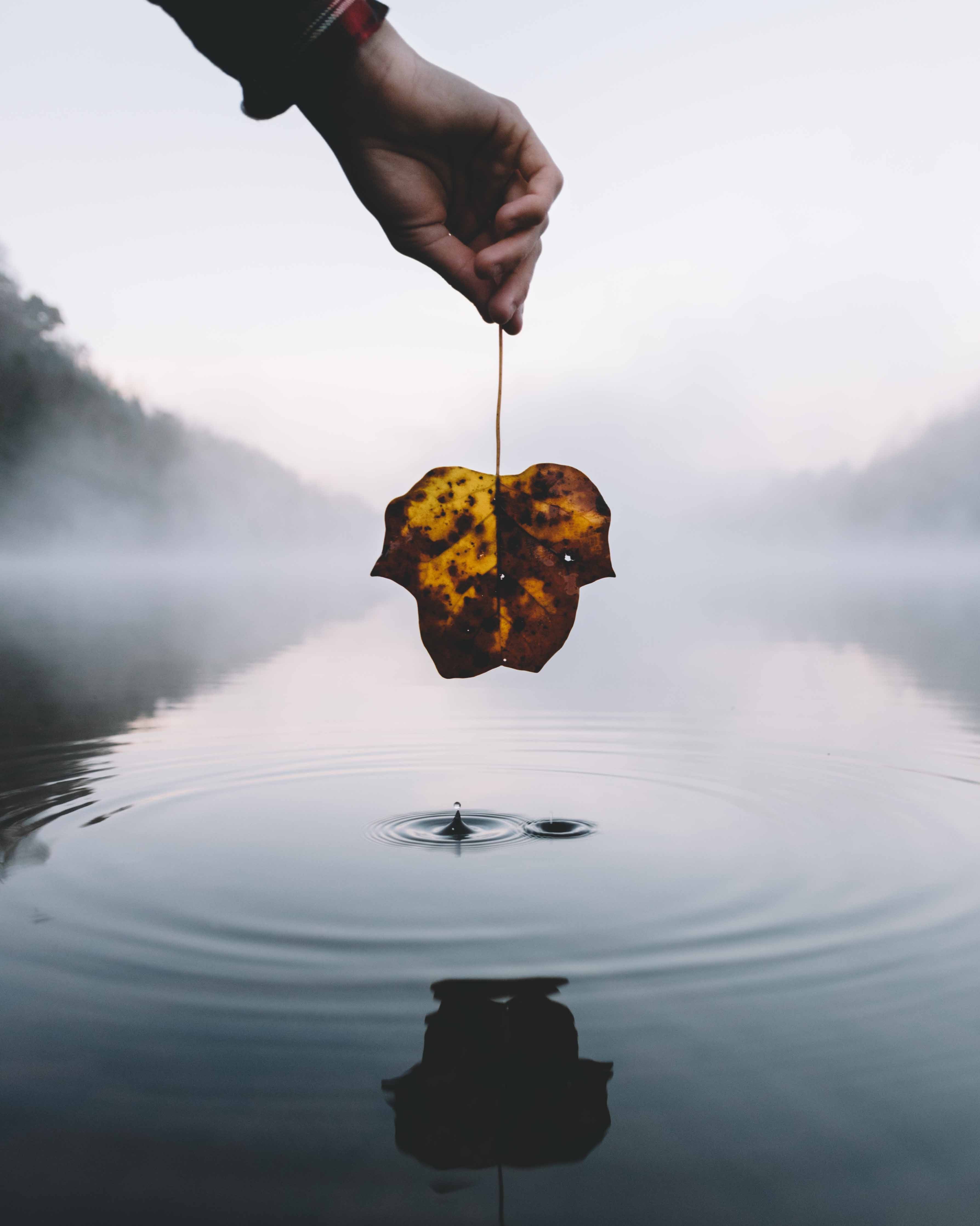 leaf lake droplet and splash hd, 4k, Phone HD Wallpaper