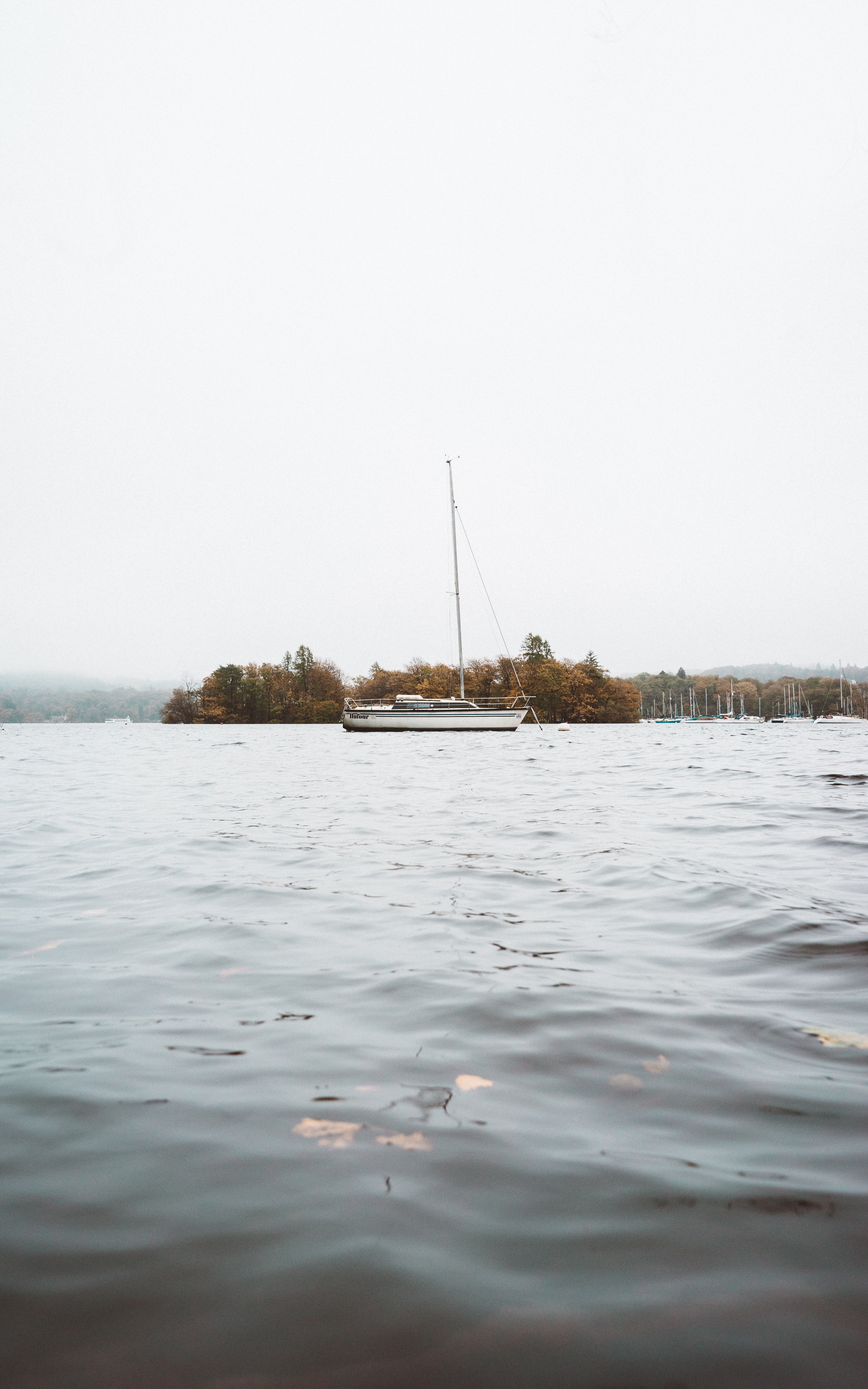 boat yacht tree and lake hd, 4k, Phone HD Wallpaper
