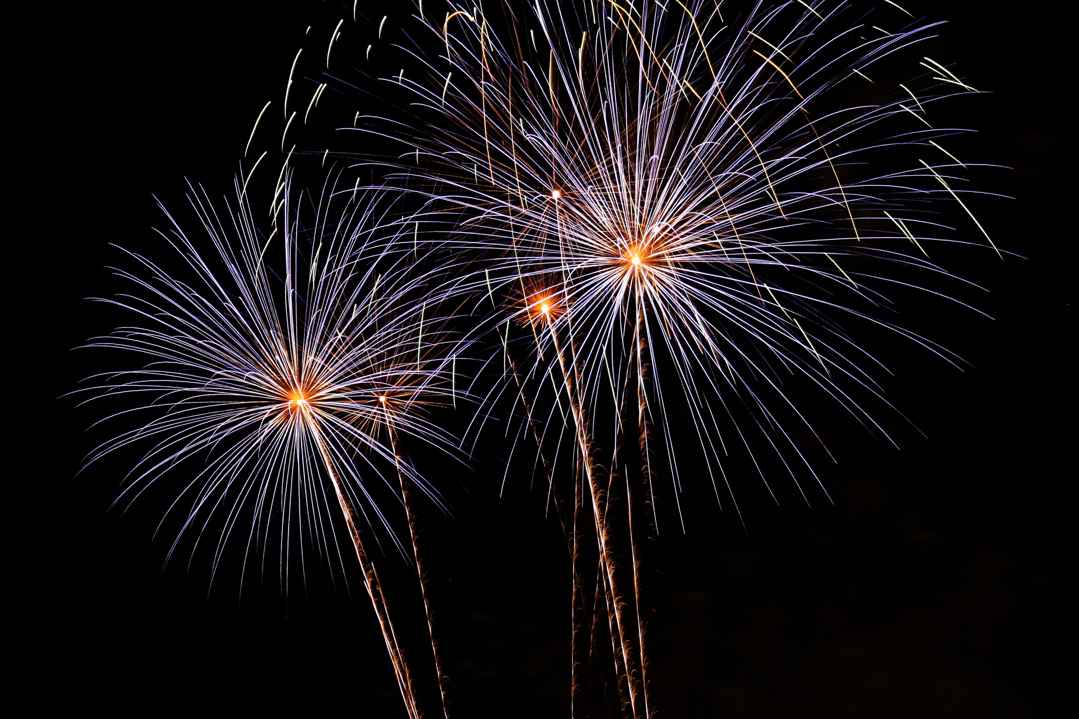 firework celebration flash and celebrate 4k, HD Wallpaper