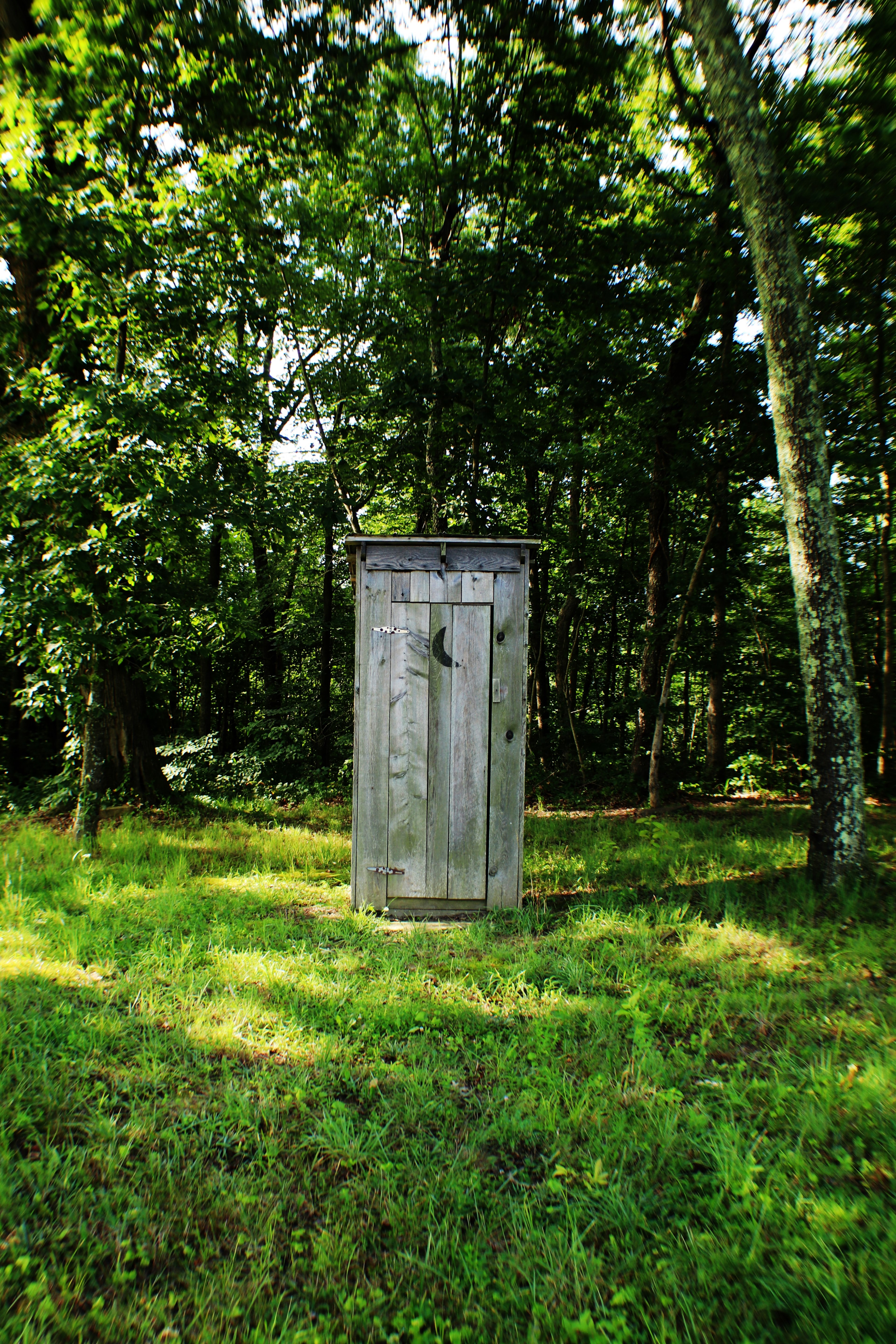 wooden outhouse in a grassy forest field, gotta go 4k, Phone HD Wallpaper