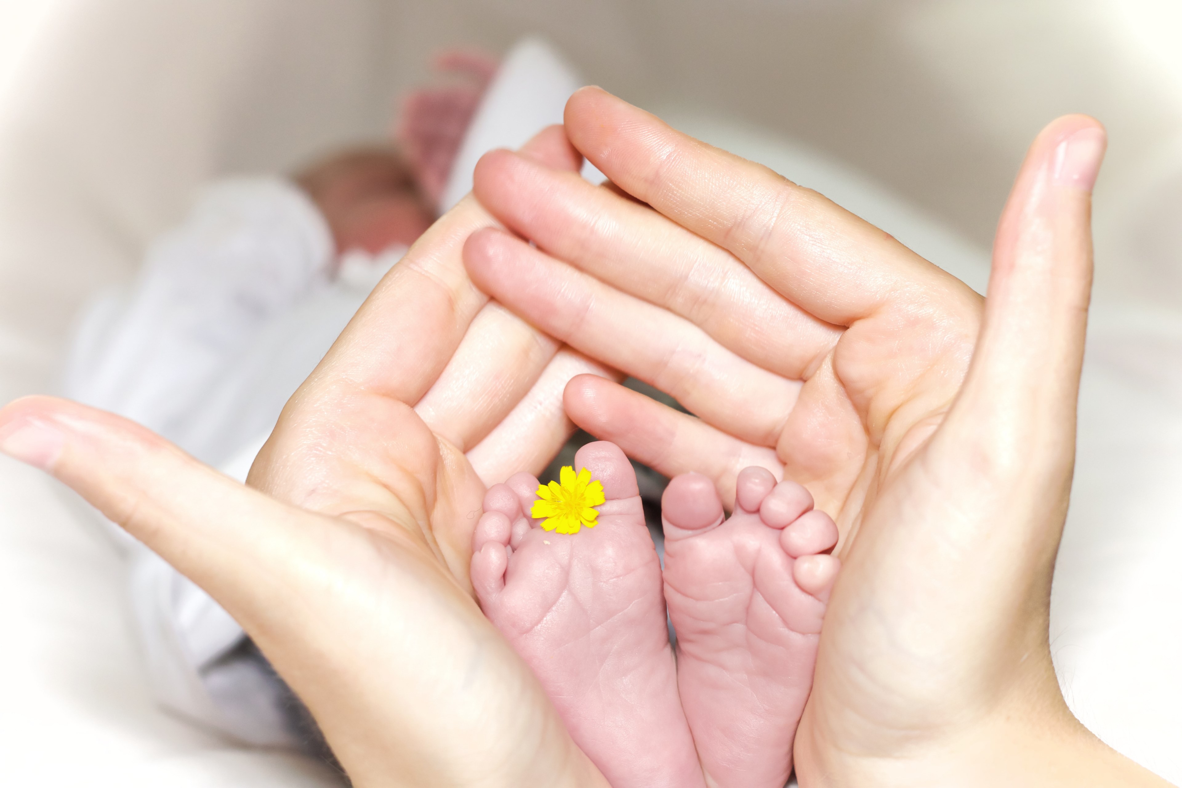 a person holding a babys feet with a yellow flower between two toes, _newborn child 4k, HD Wallpaper