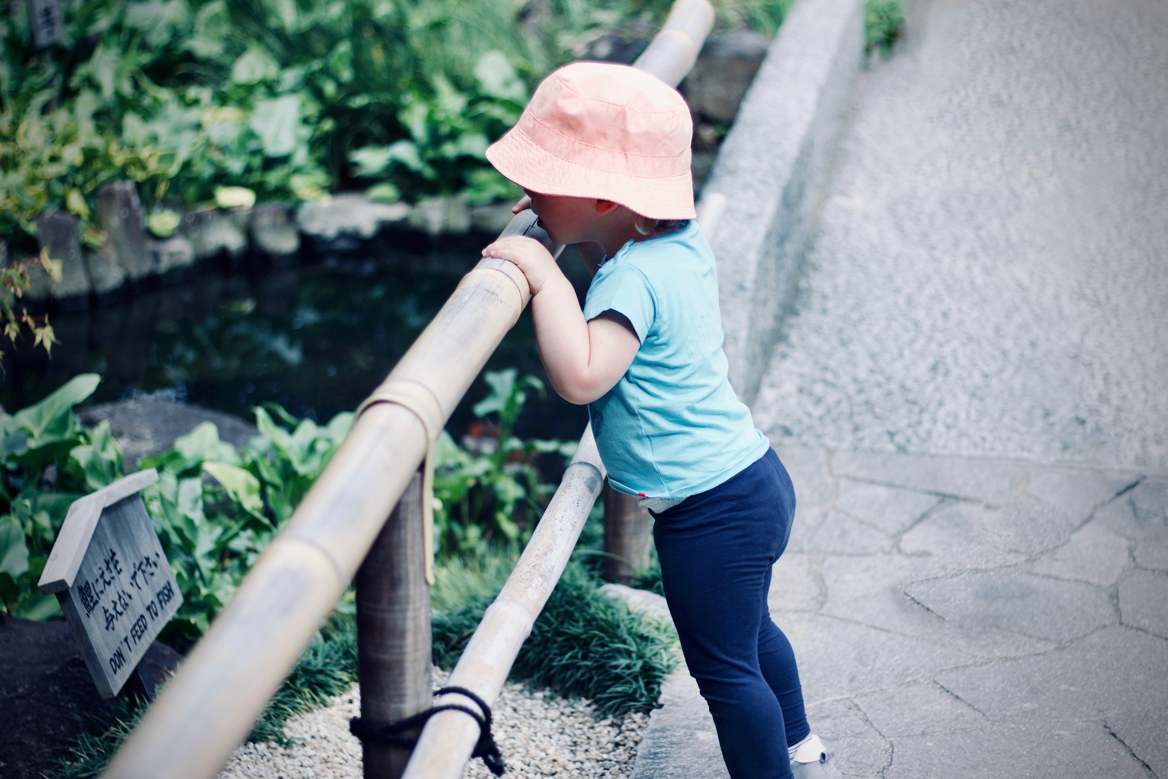 child toddler girl and female 4k, HD Wallpaper