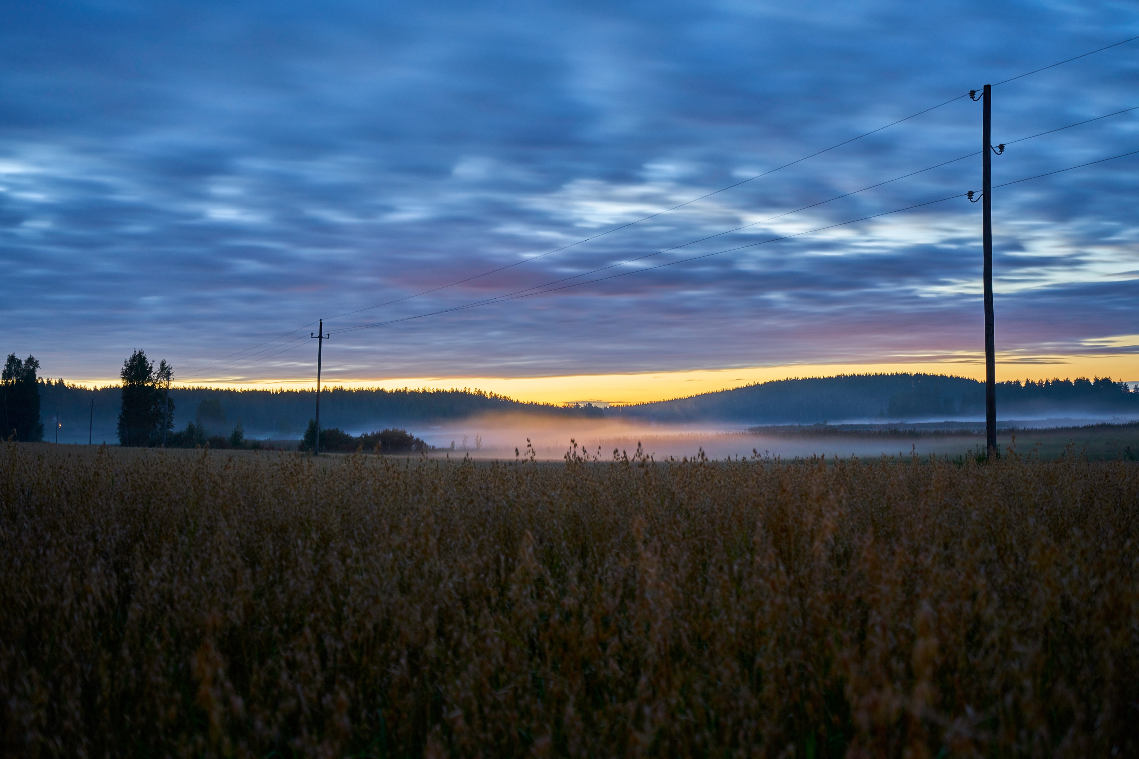 mist over a brown field on a cloudy evening, evening over a brown field 4k, HD Wallpaper