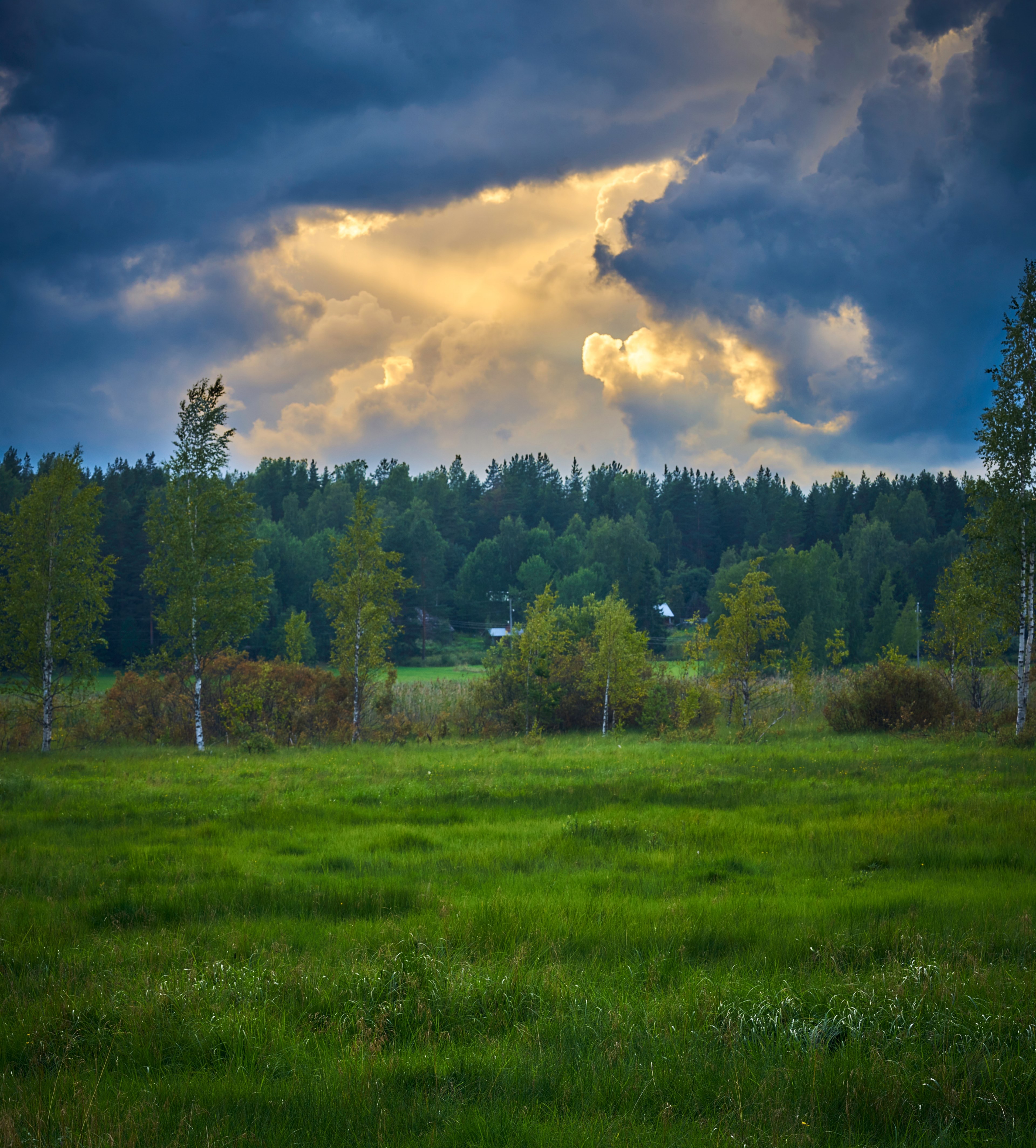 sun aurinko maaseutu and countryside hd, 4k, Phone HD Wallpaper