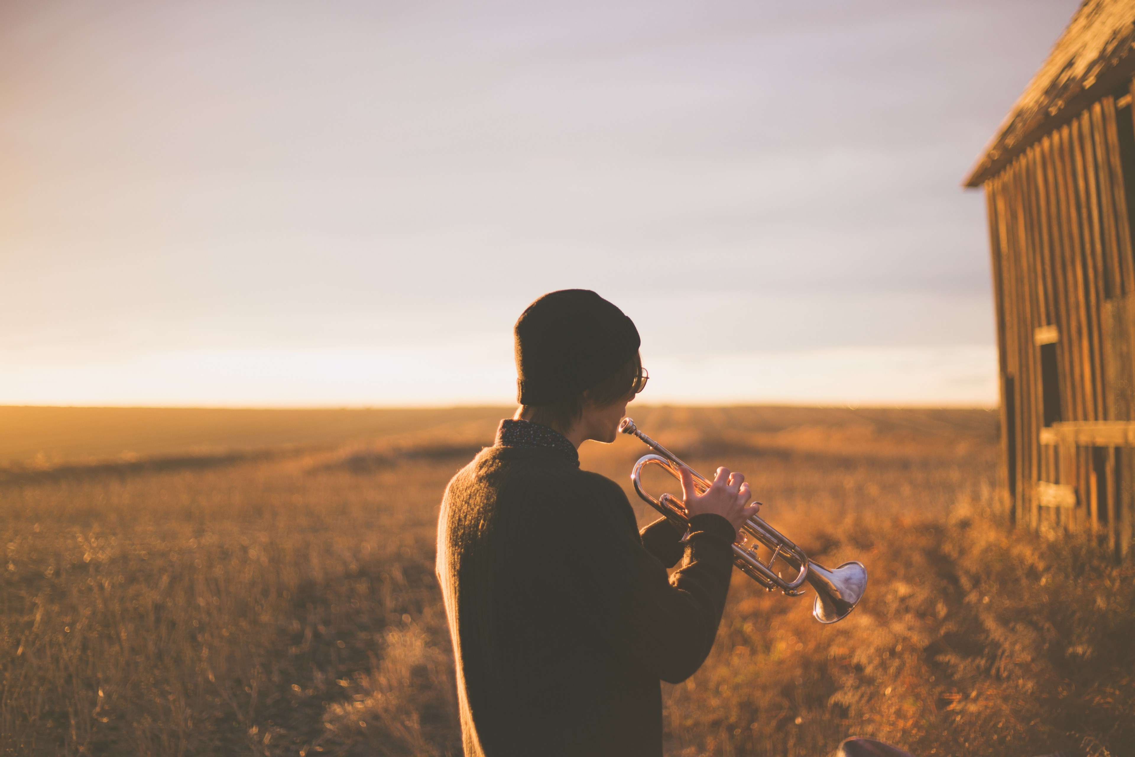 musician playing trumpet alone in an empty forest field, trumpet player 4k, HD Wallpaper