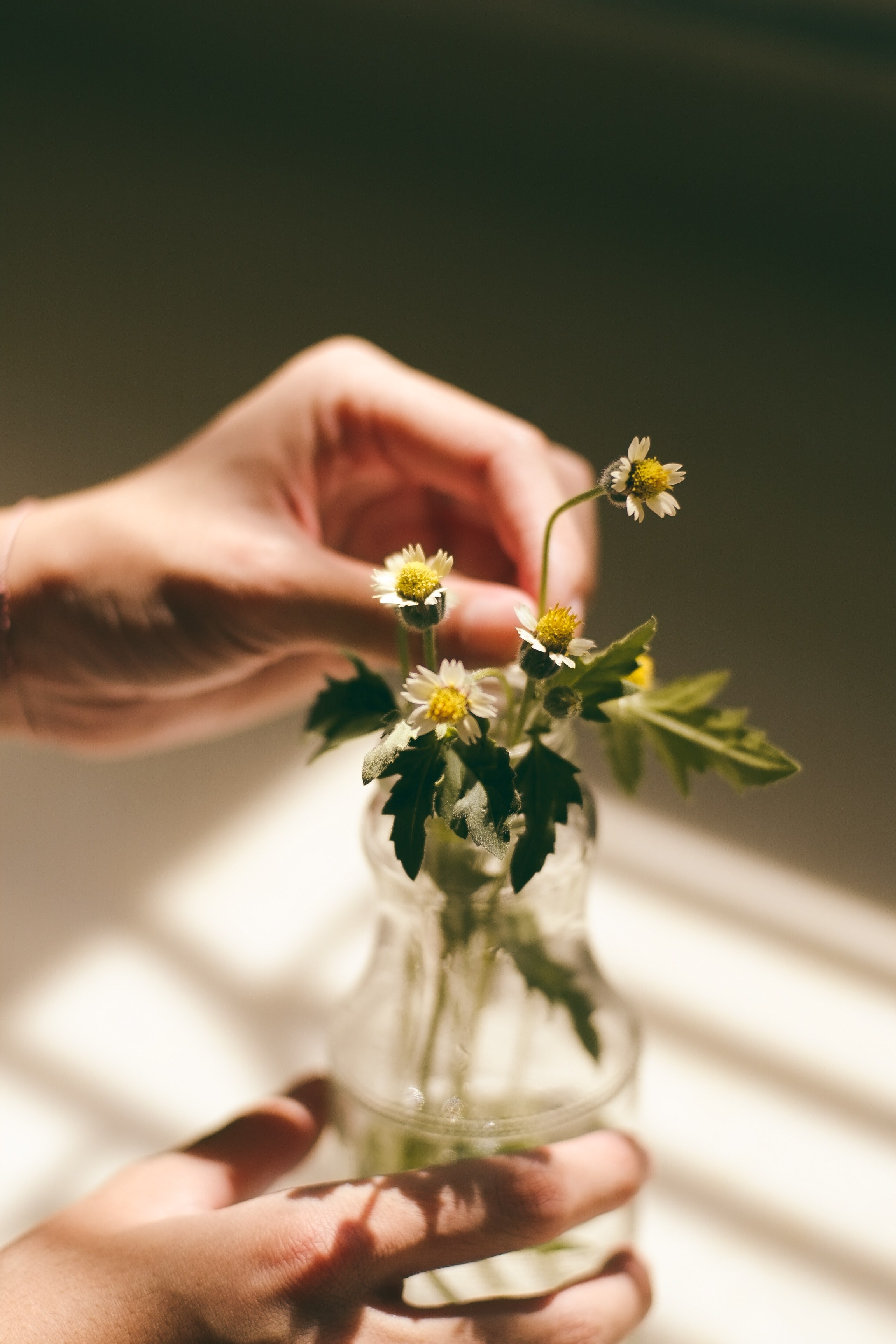 a persons hands touching small white flowers in a glass bottle, tending tiny white flowers 4k, Phone HD Wallpaper