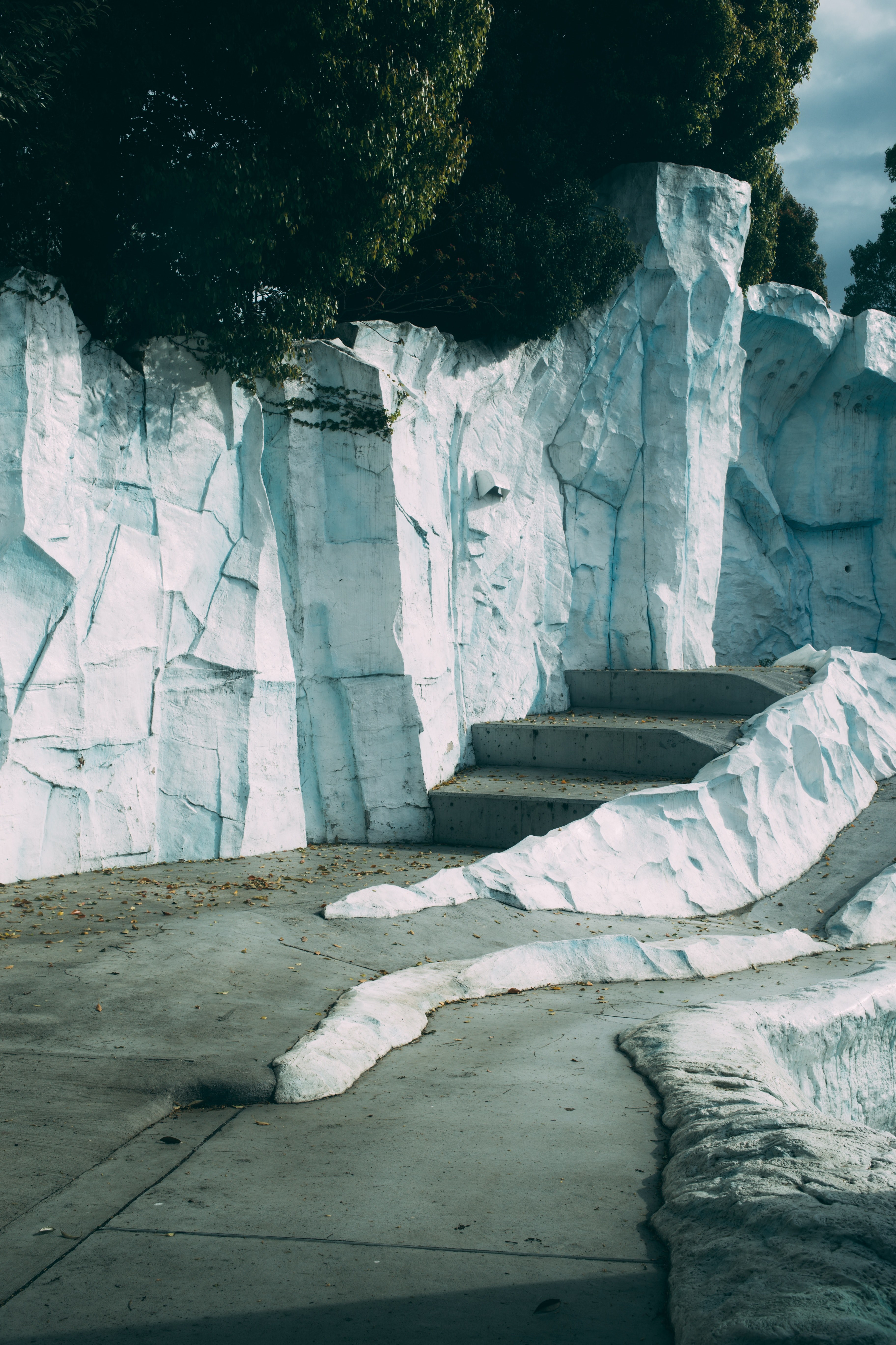 polar bear ice set design and north pole hd, 4k, Phone HD Wallpaper