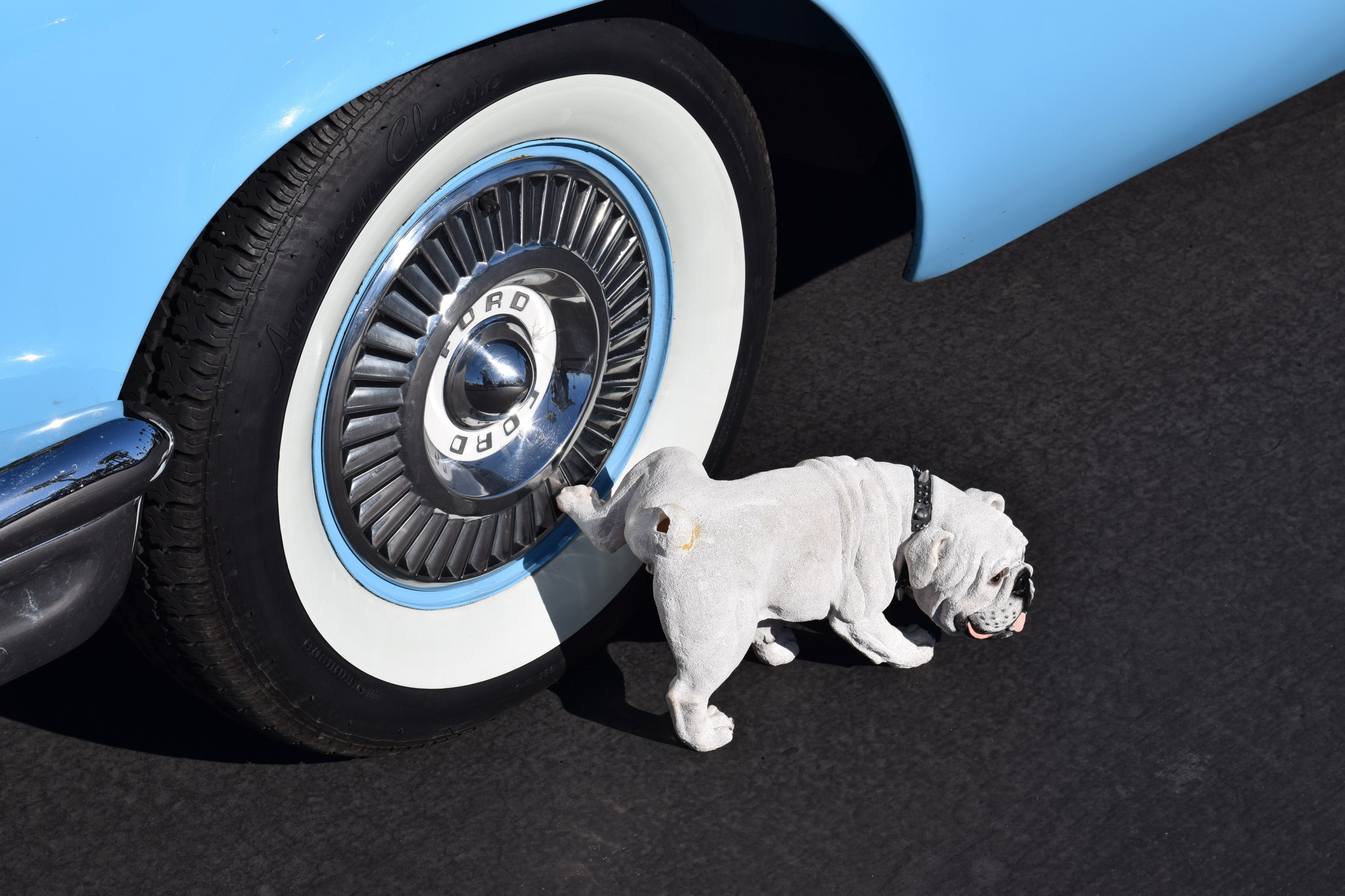 wheel dog ford and type 4k, HD Wallpaper