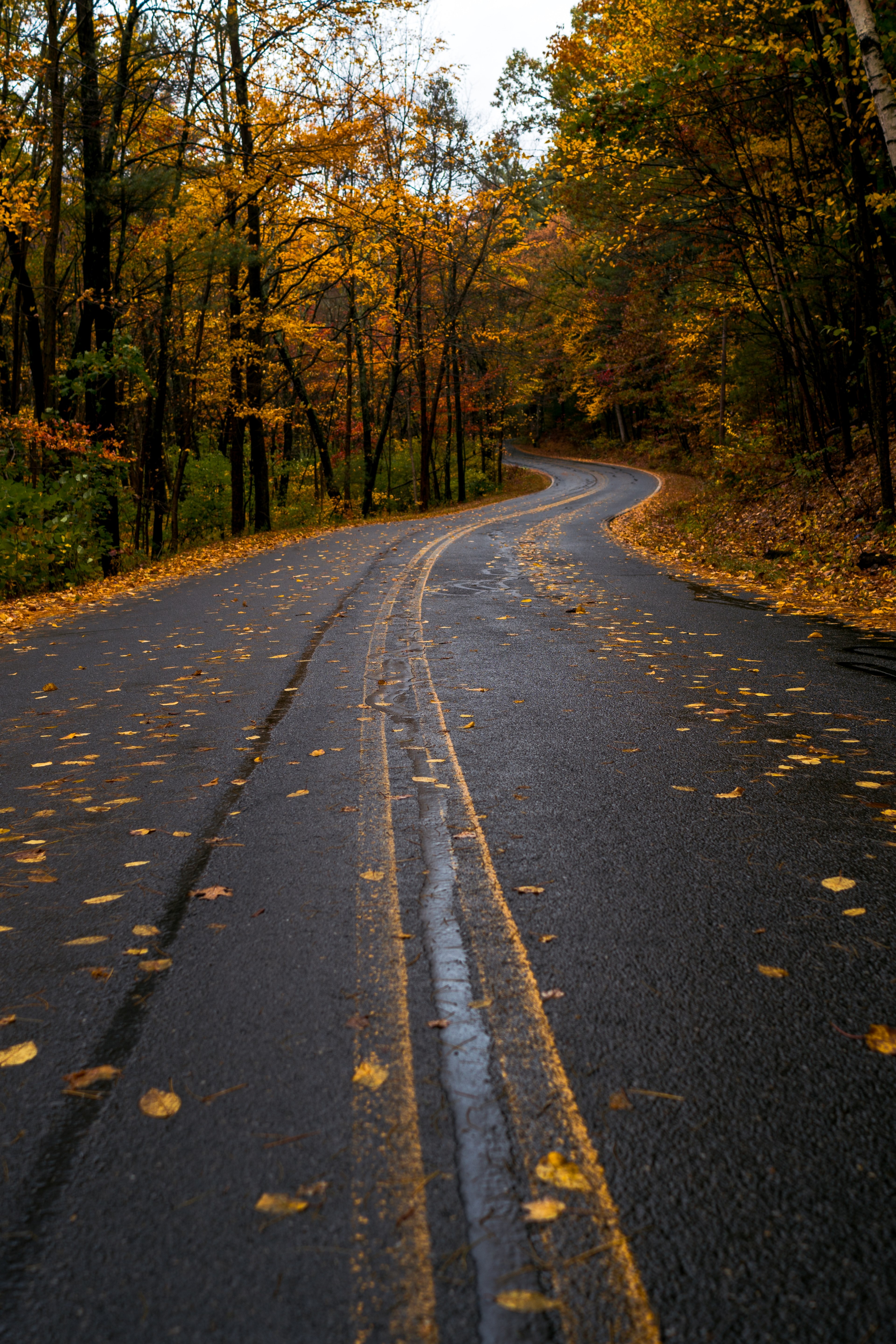 the road to your dreams 4k, Phone HD Wallpaper
