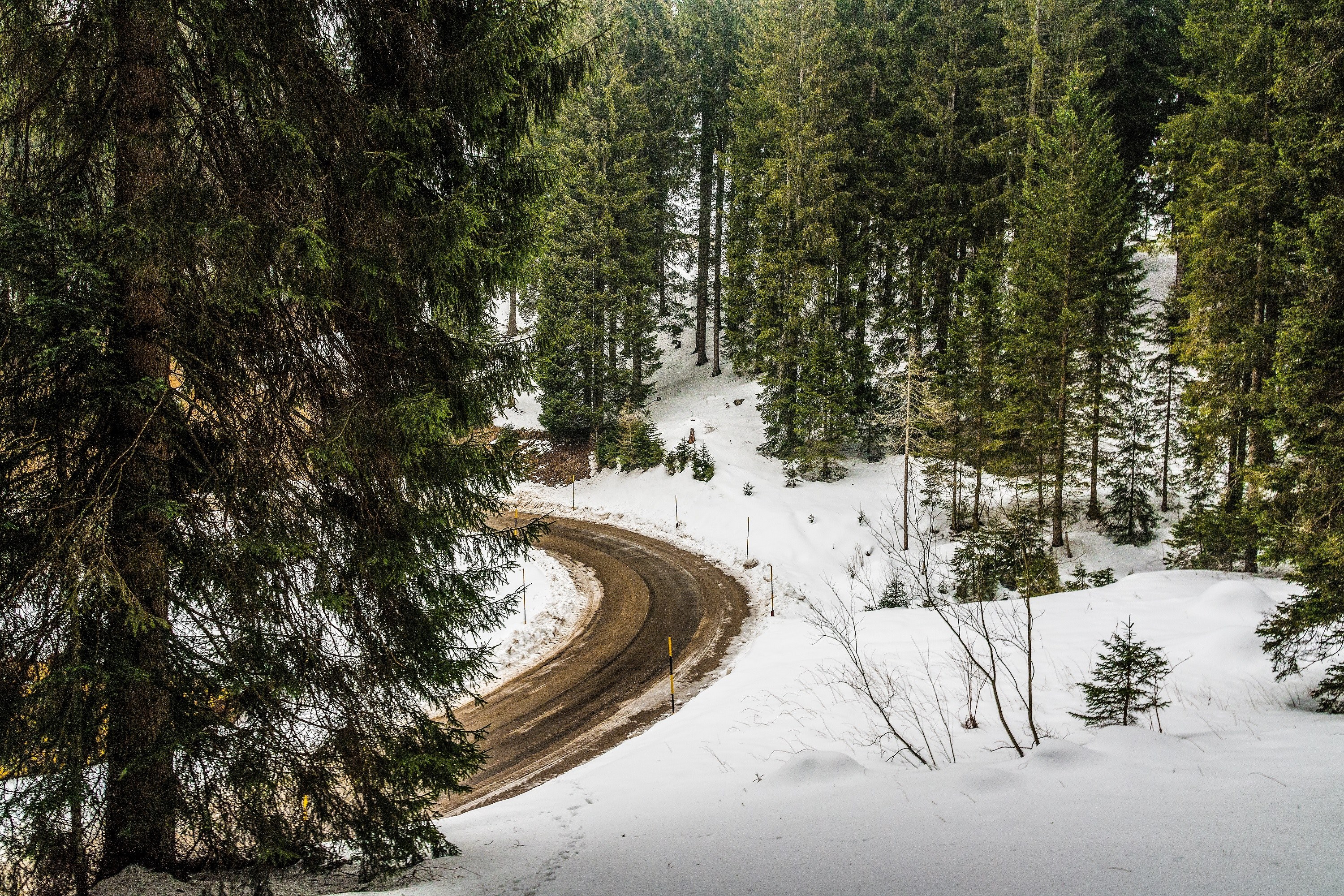 a bend in a muddy tree lined road with a thick layer of snow on the roadside, innovated road 4k, HD Wallpaper