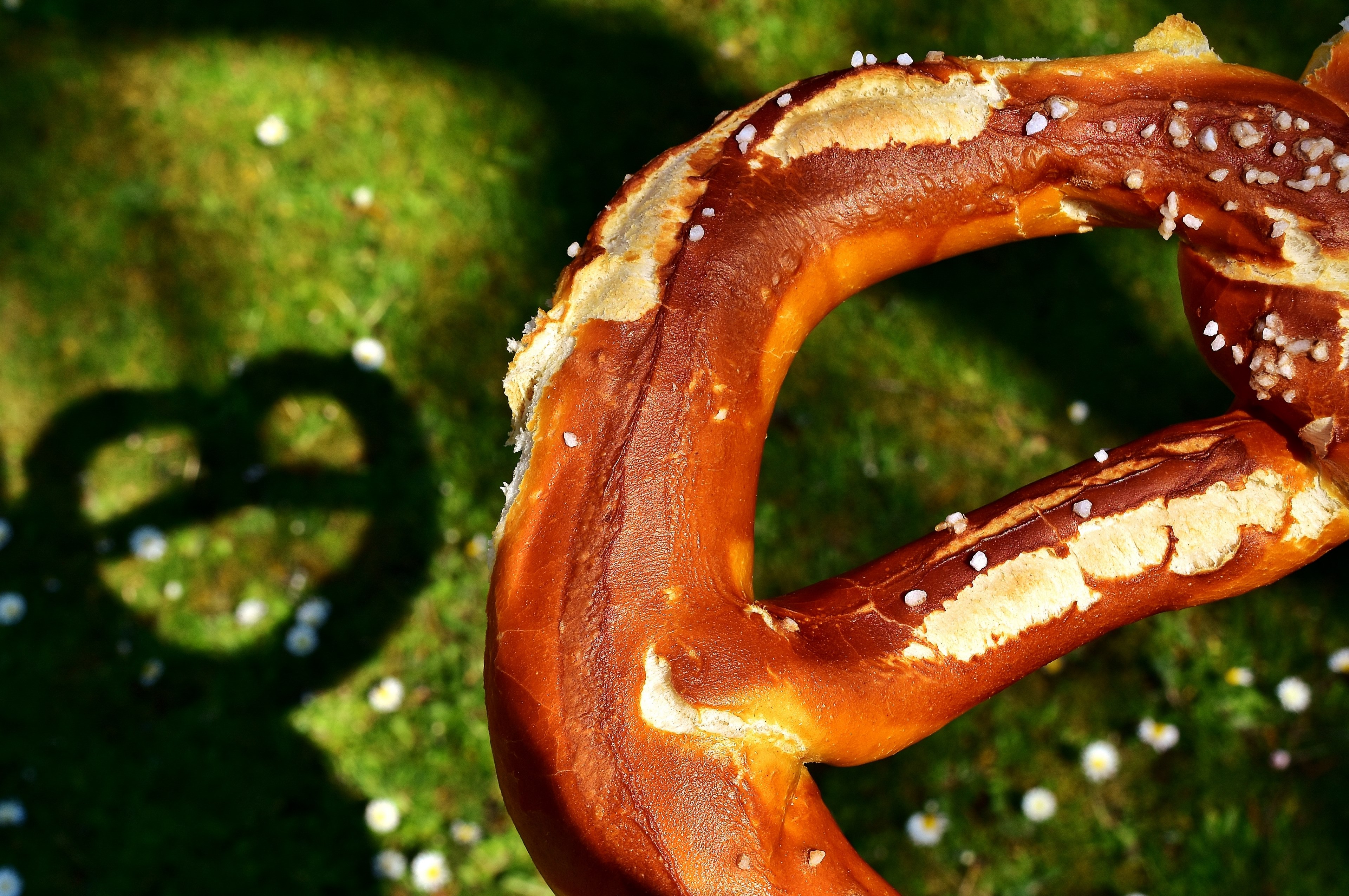 wiesnbreze breze pretzel huge shadow riesenbreze 4k, HD Wallpaper