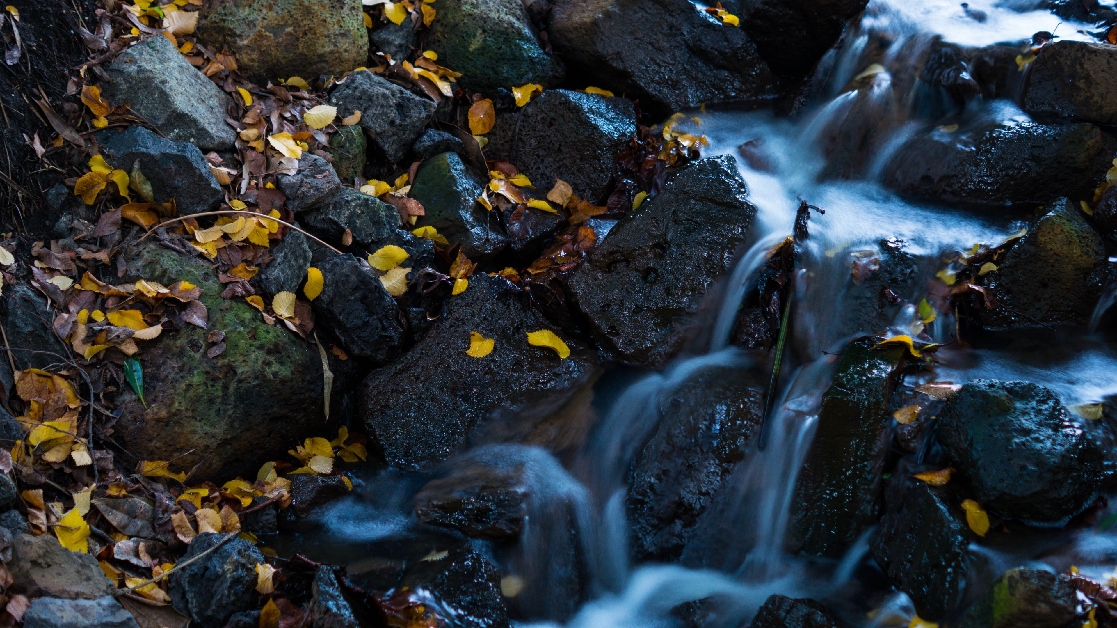 waterfall leaves water nature natural water 4k, HD Wallpaper