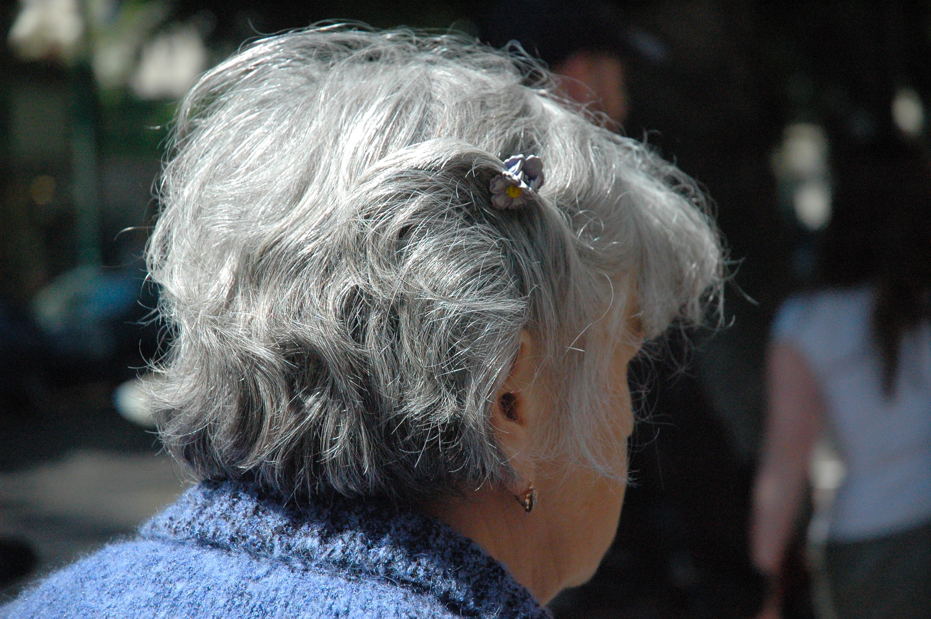 woman senior citizens female head hair gray grey 4k, HD Wallpaper