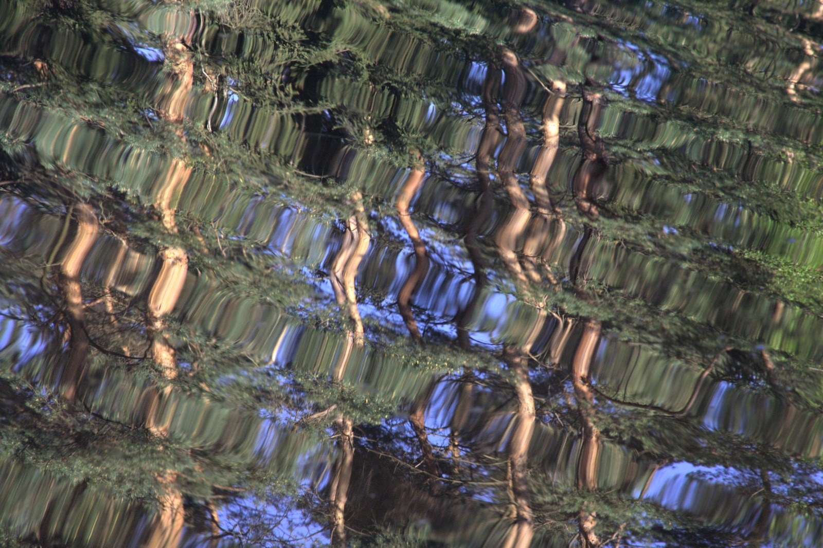 water reflections mirroring trees wave surface 4k, HD Wallpaper