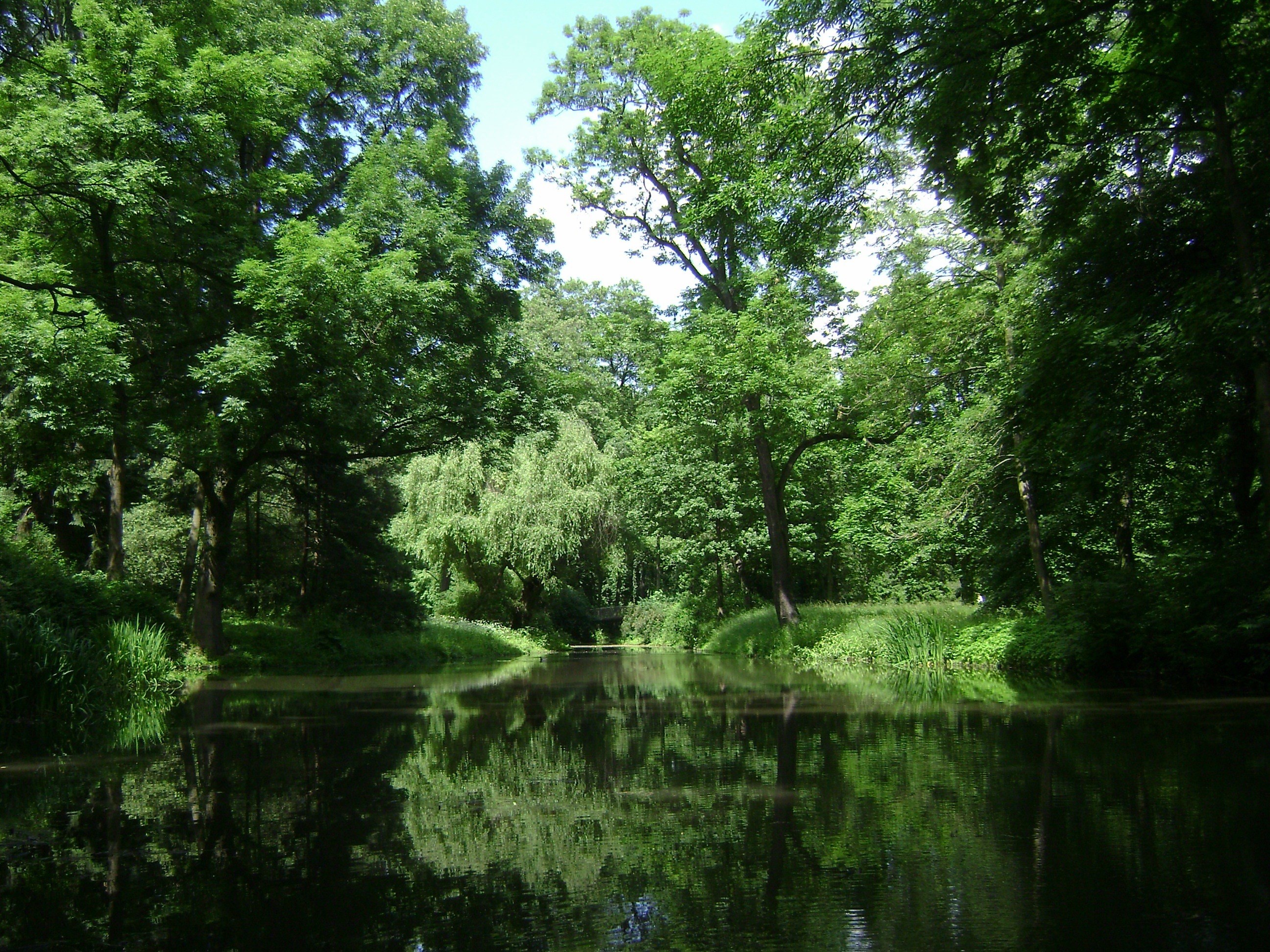 warsaw poland park forest trees woods lake pond 4k, HD Wallpaper