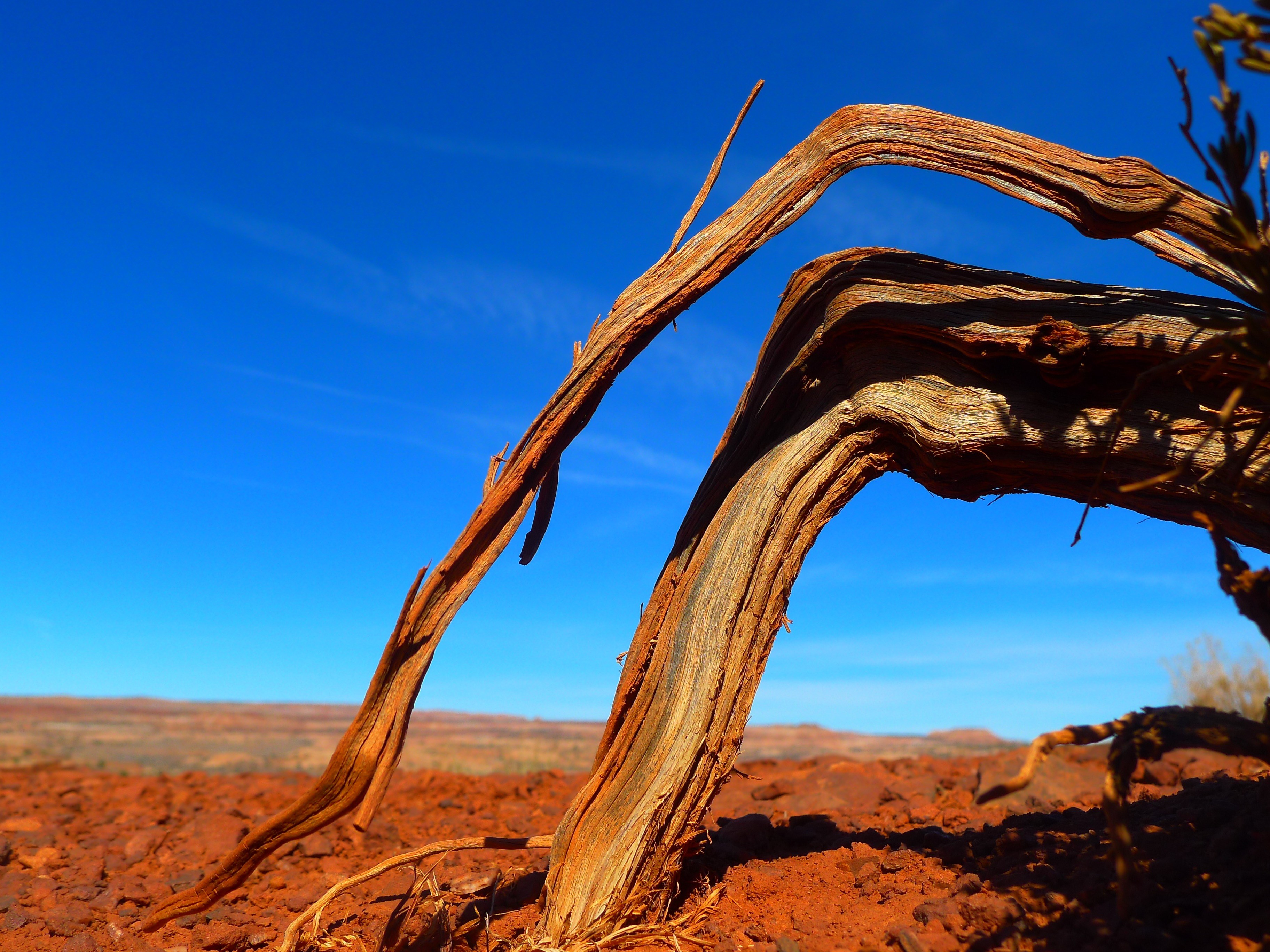 utah landscape desert sky clouds root barren 4k, HD Wallpaper