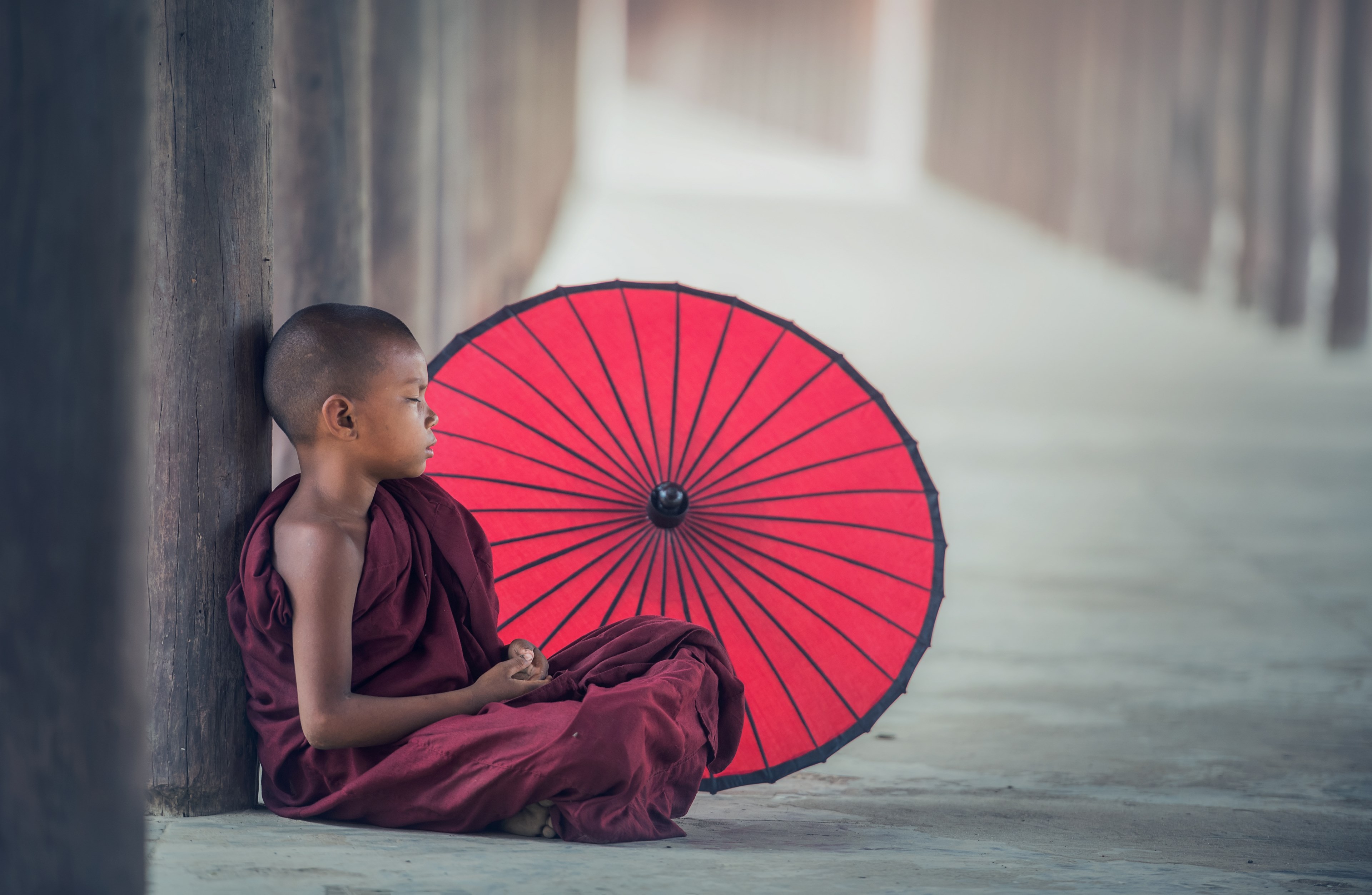 umbrella eat asia burma faith boy buddha 4k, HD Wallpaper