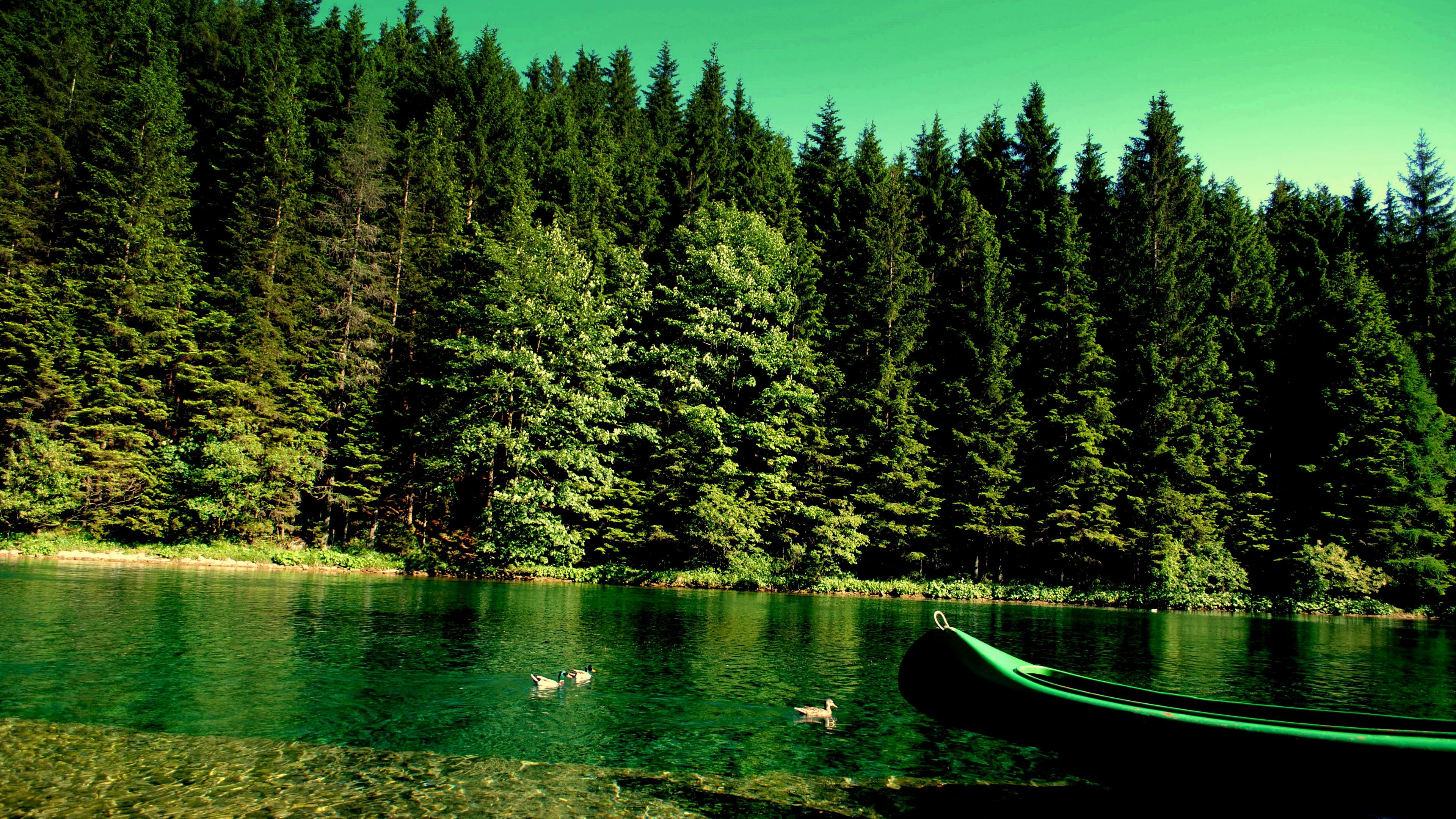forest, river, boat, nature, 4k, HD Wallpaper