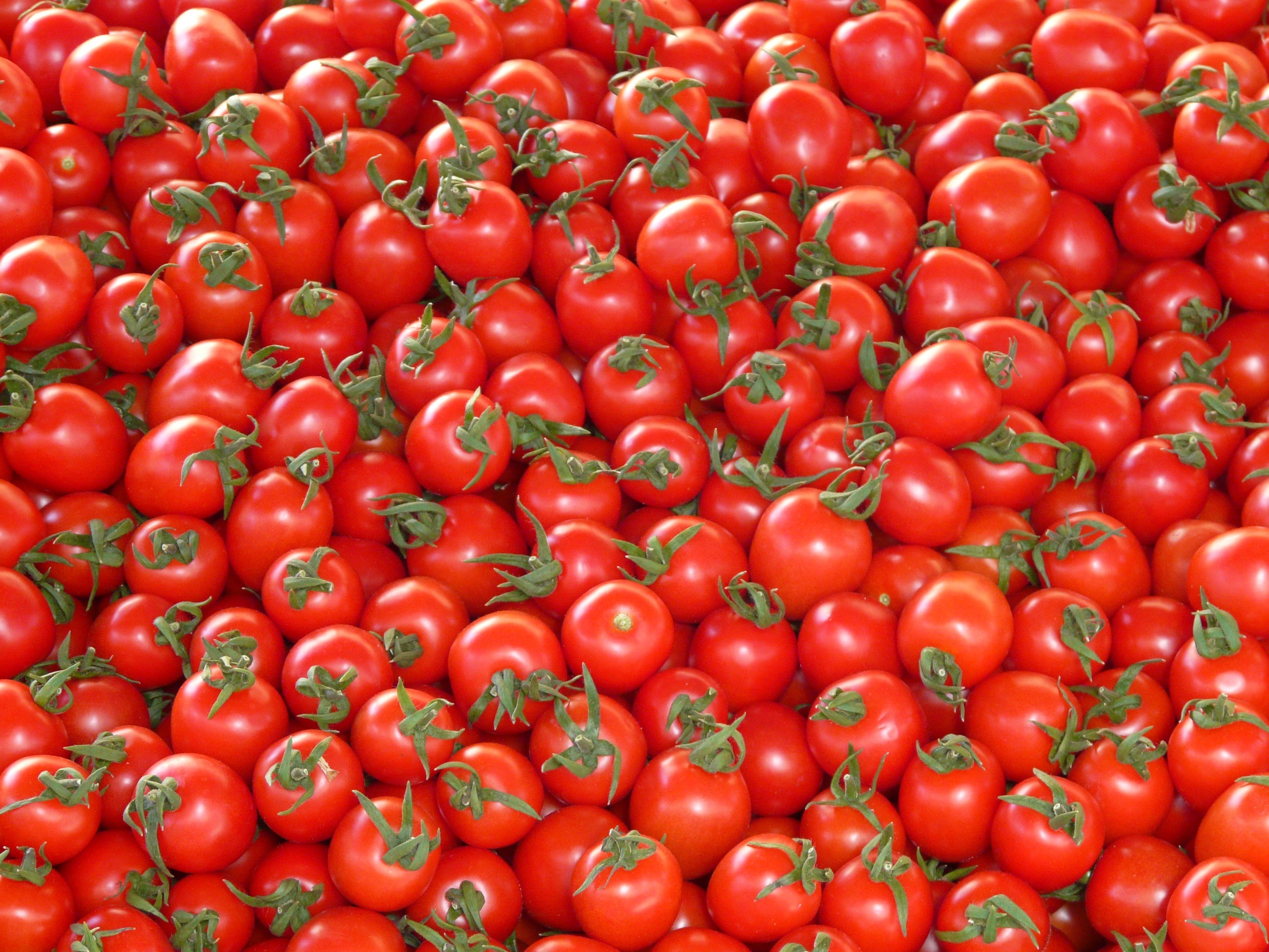 tomatoes vegetables red delicious market stand 4k, HD Wallpaper