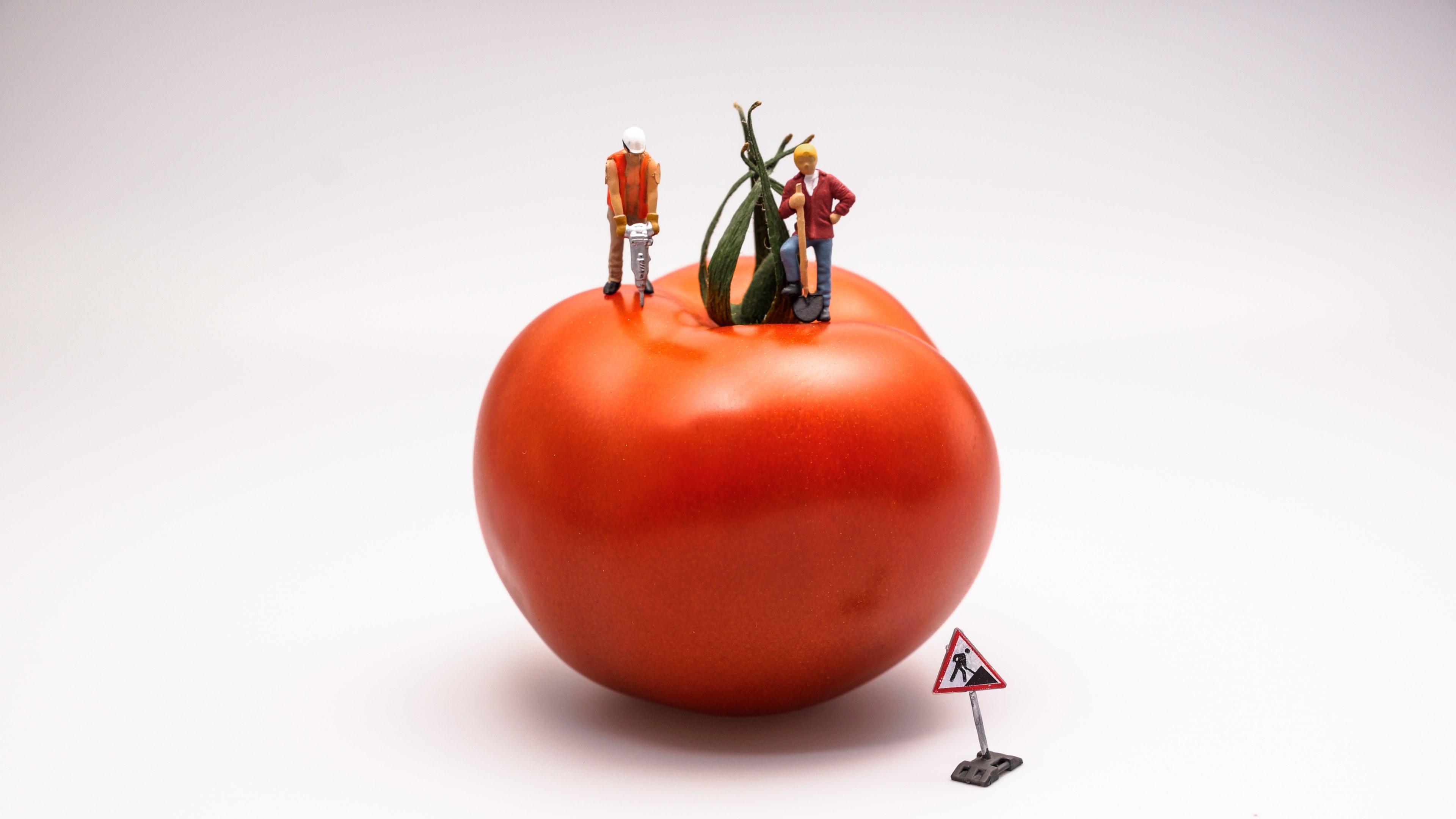 tomato food vegetable red construction work area 4k, HD Wallpaper