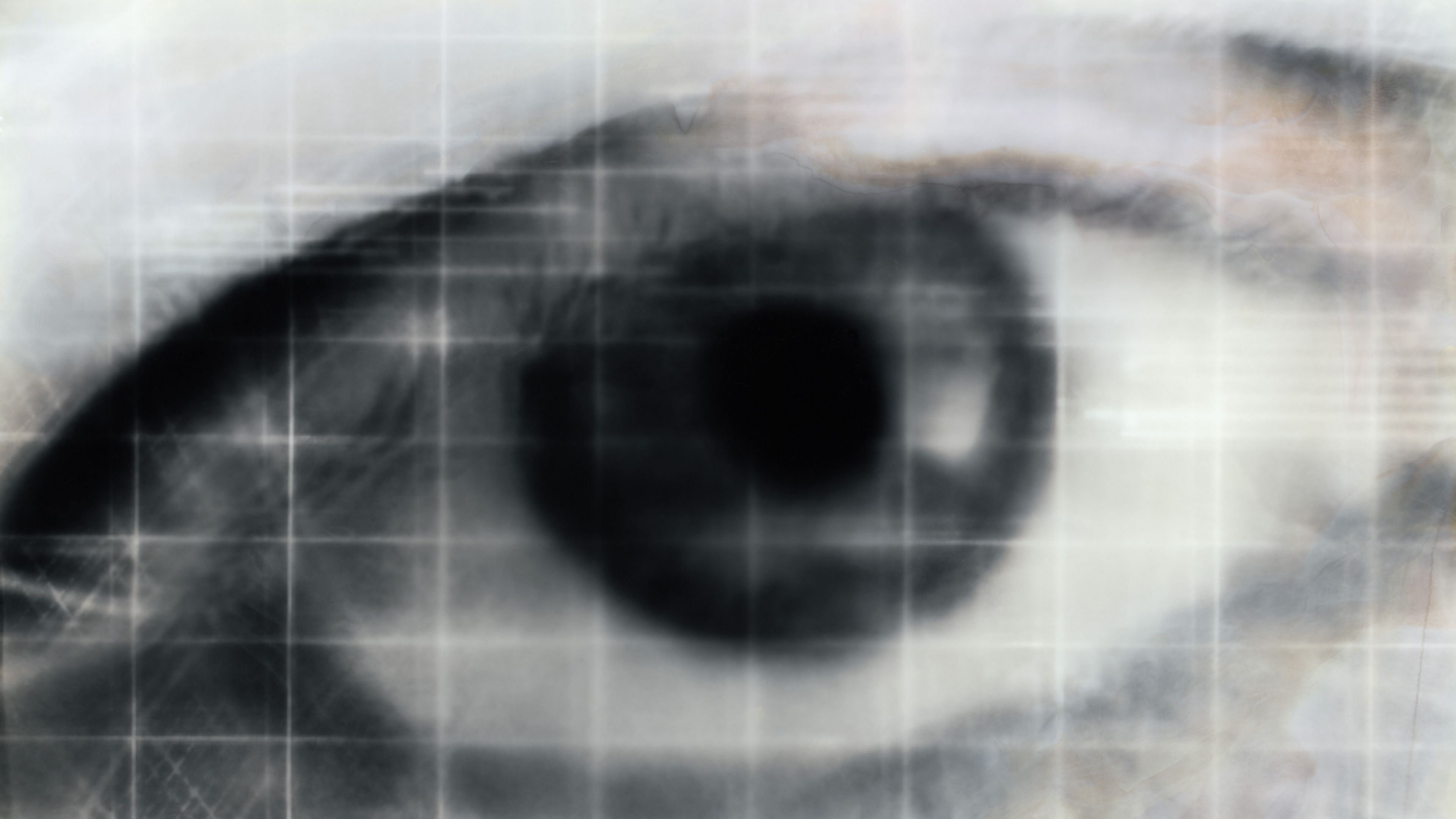 eye, abstract, mesh, black and white, 4k, HD Wallpaper