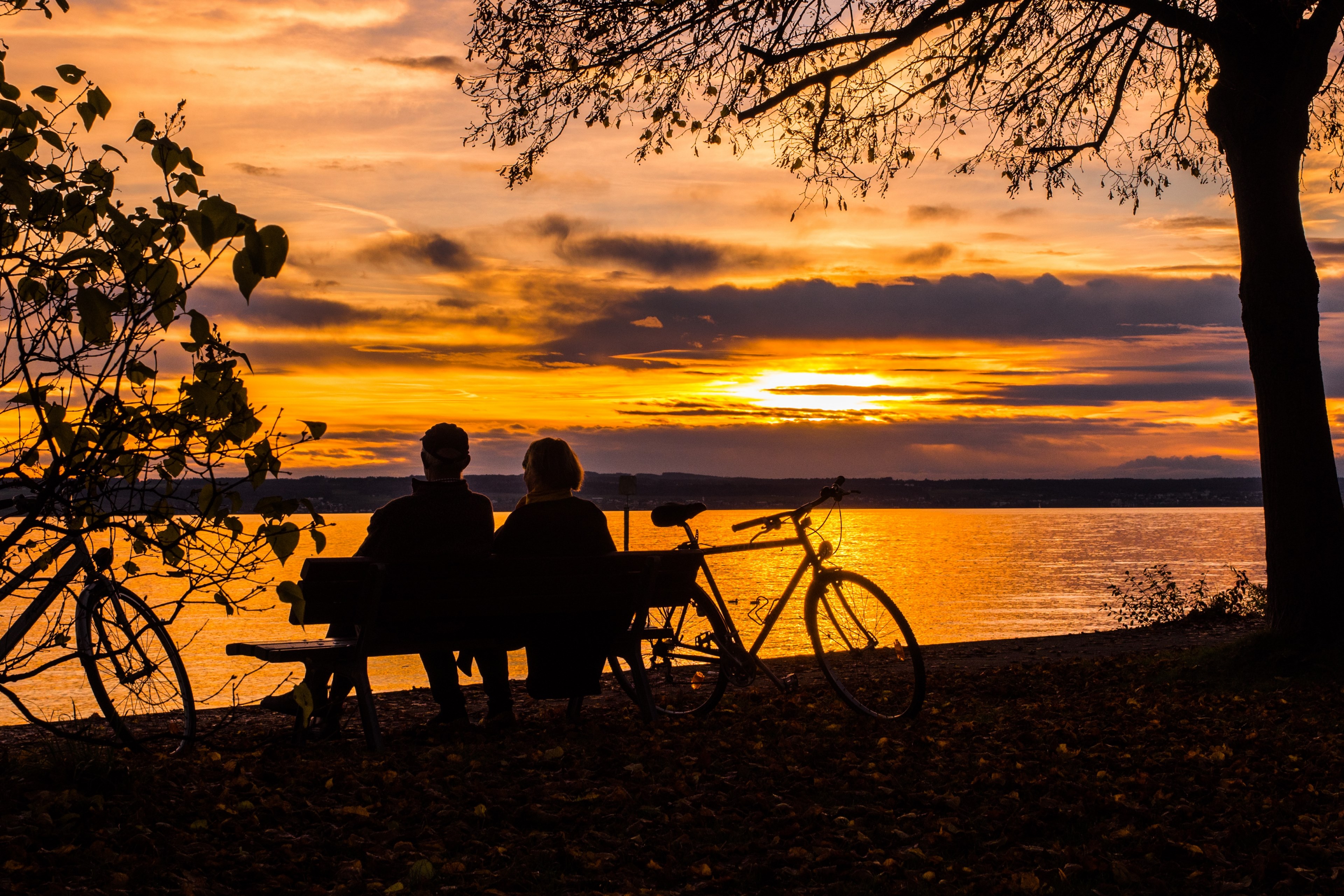 sunset couple lake constance abendstimmung more 4k, HD Wallpaper