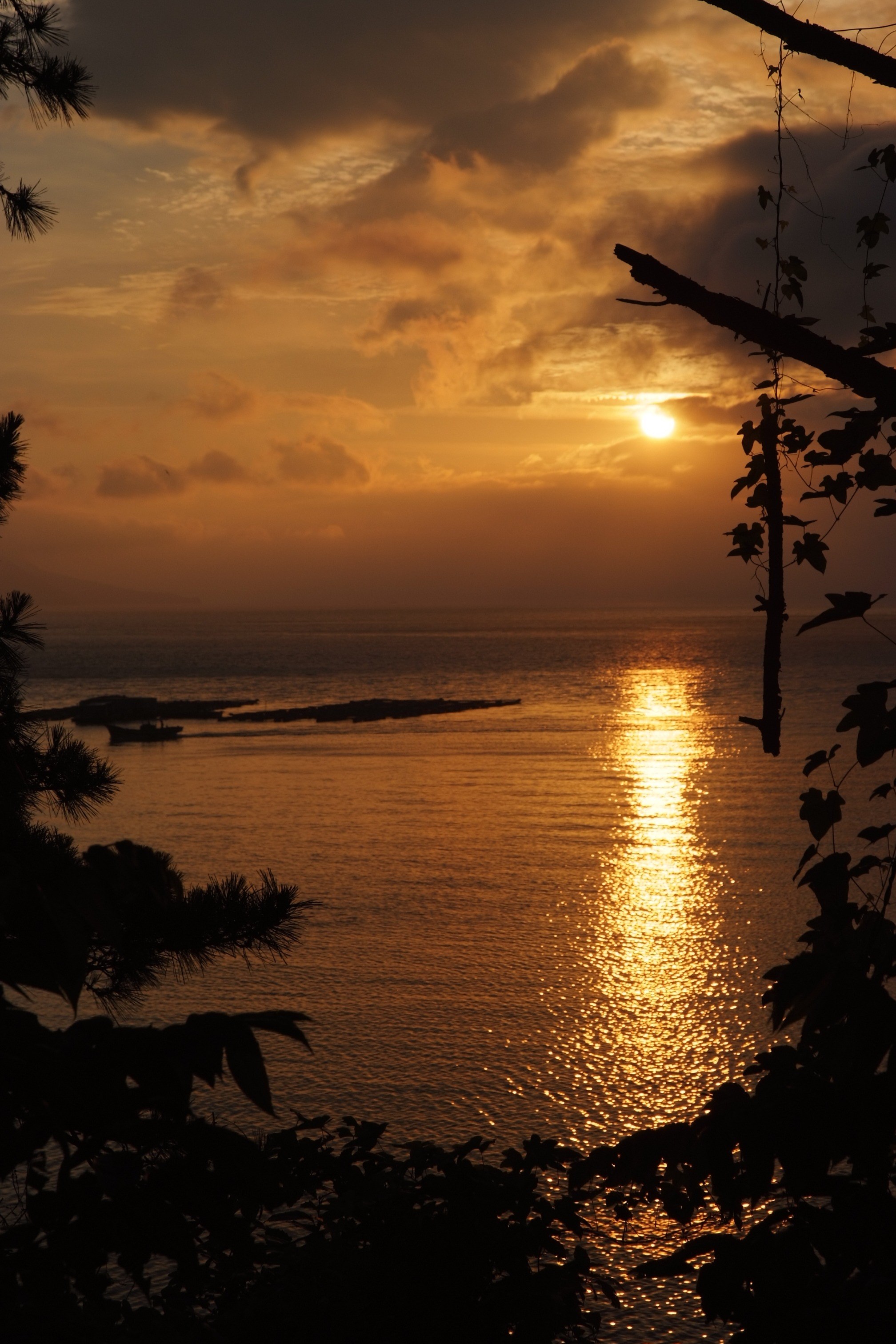 sunset sunrise sunlight outdoor dawn dusk evening 4k, Phone HD Wallpaper
