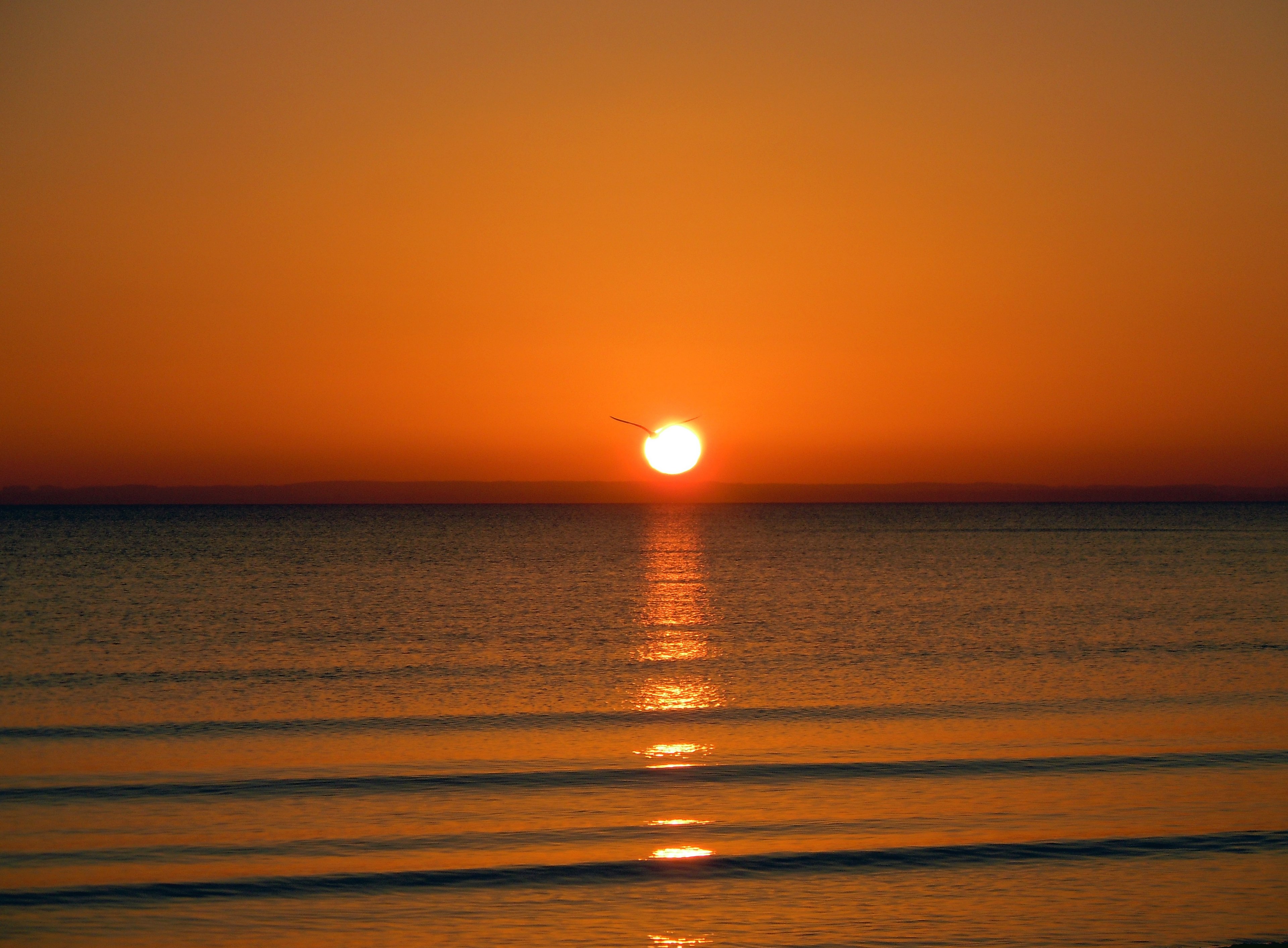 sunrise on the sea romantic mirroring 4k, HD Wallpaper