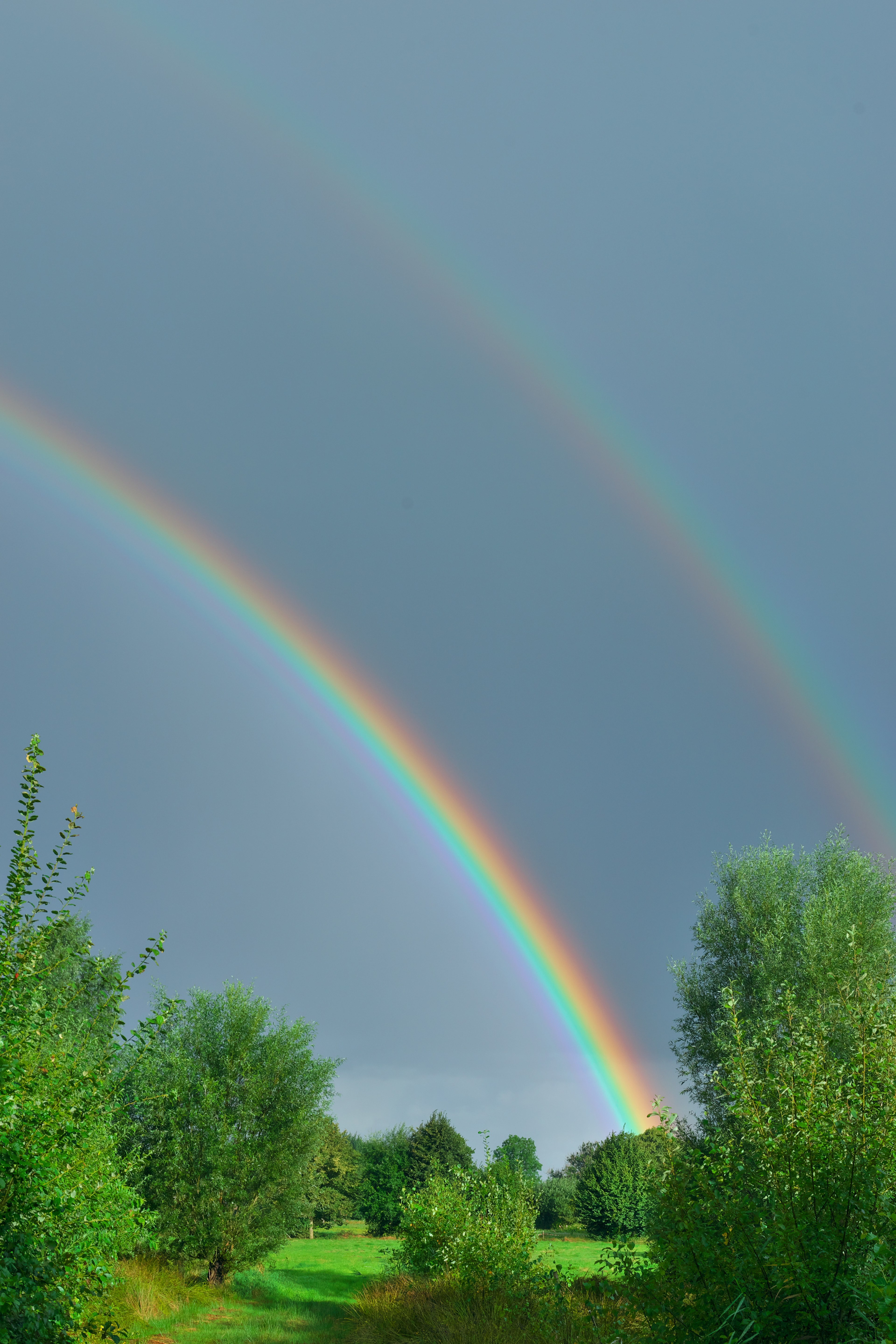sunrise rainbow good morning friendly skies 4k, Phone HD Wallpaper