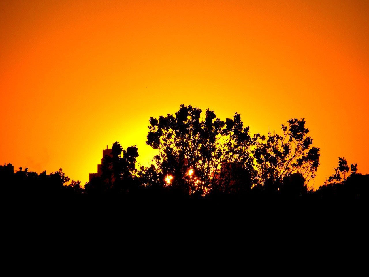 sunset trees silhouette dusk evening sky orange 4k, HD Wallpaper