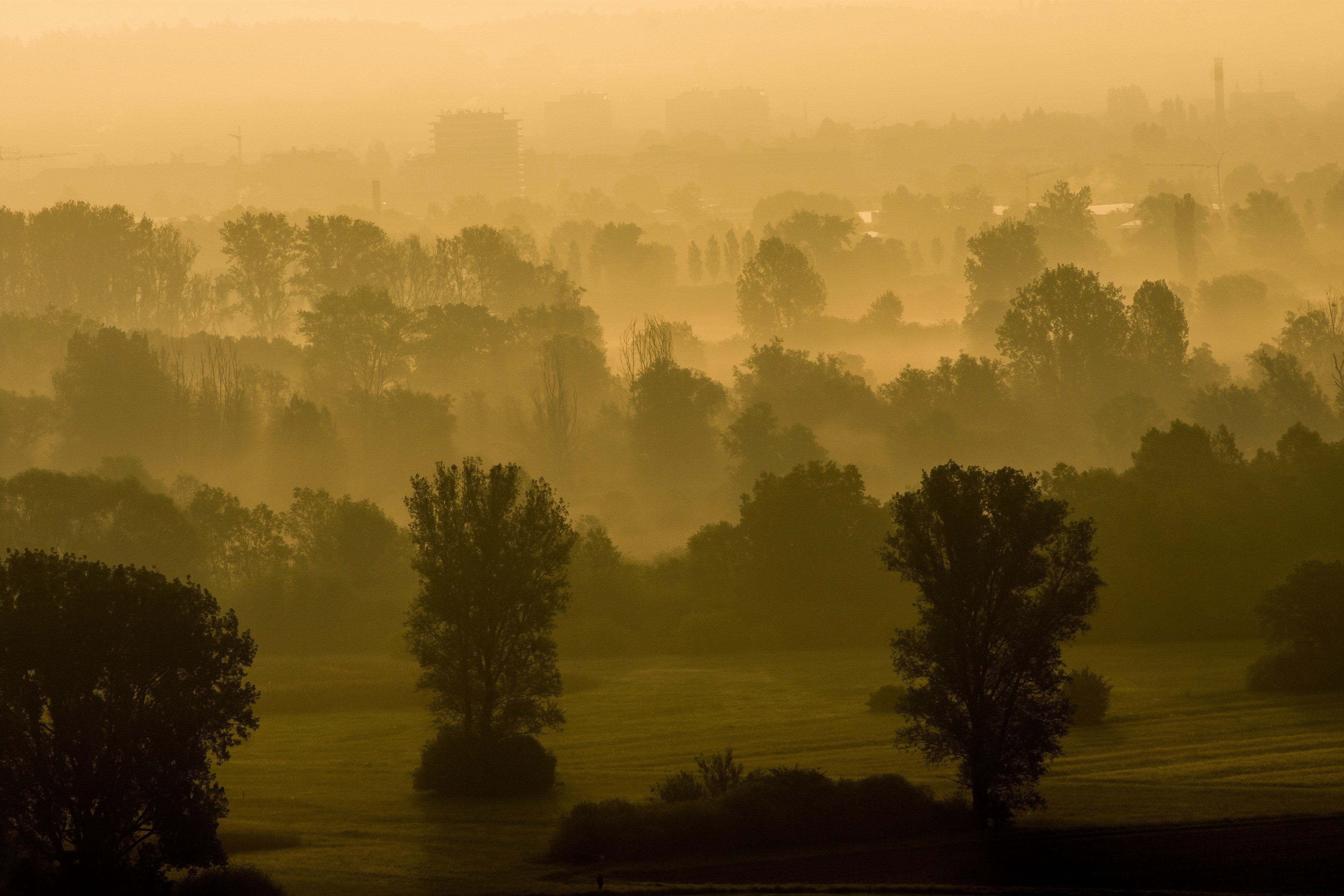sunrise mood fog nature morgenstimmung sun sky 4k, HD Wallpaper