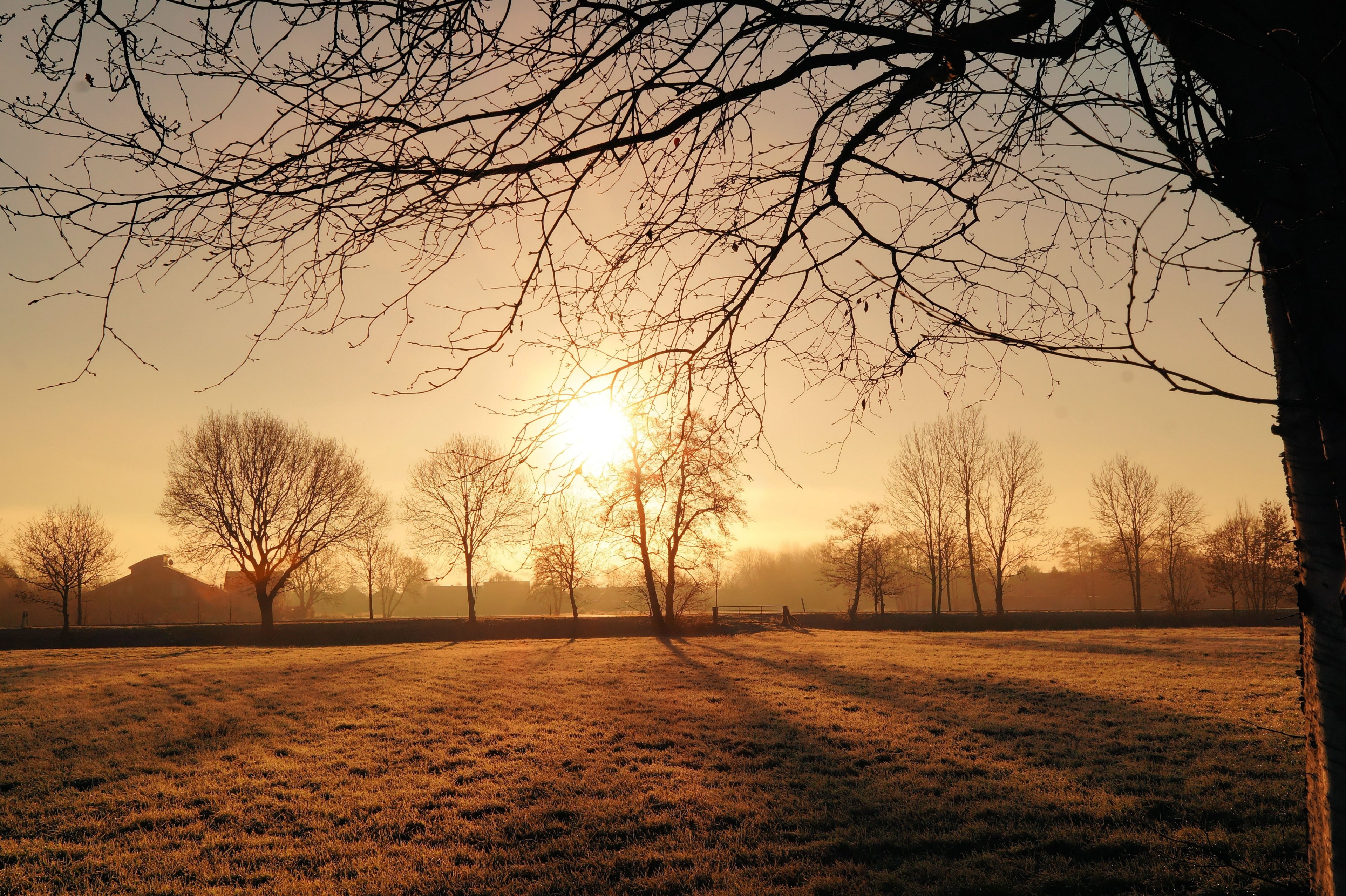 sunrise cold iced hoarfrost morgenstimmung winter 4k, HD Wallpaper