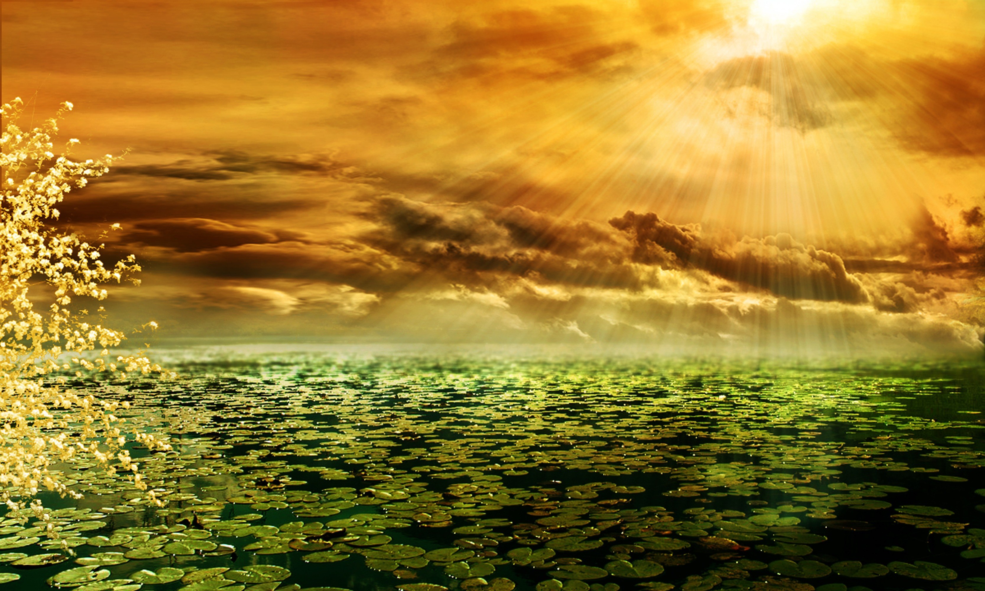 sunbeam afterglow morgenrot pond mood romantic 4k, HD Wallpaper