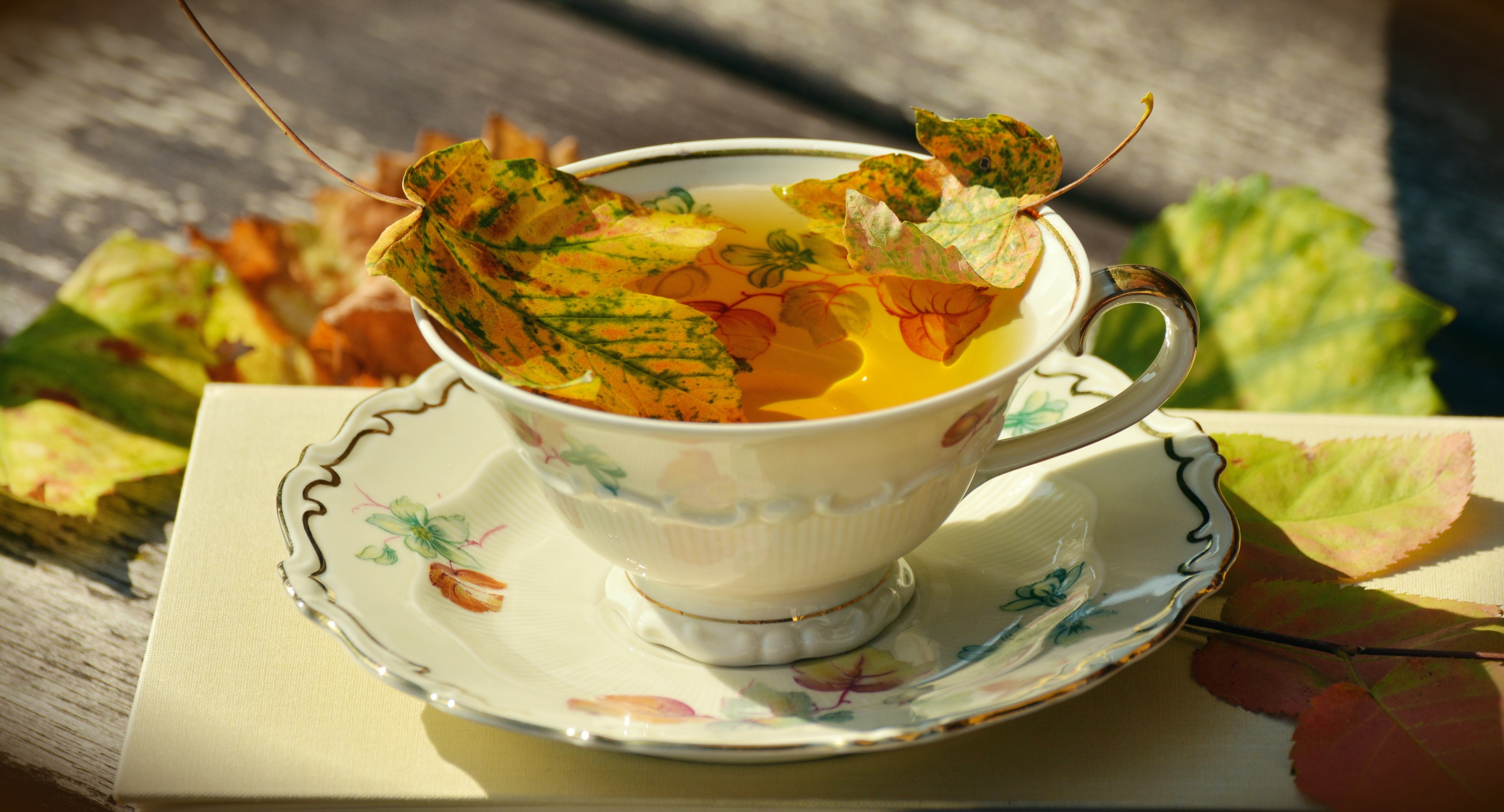 tee teacup autumn autumn colours fall leaves 4k, HD Wallpaper