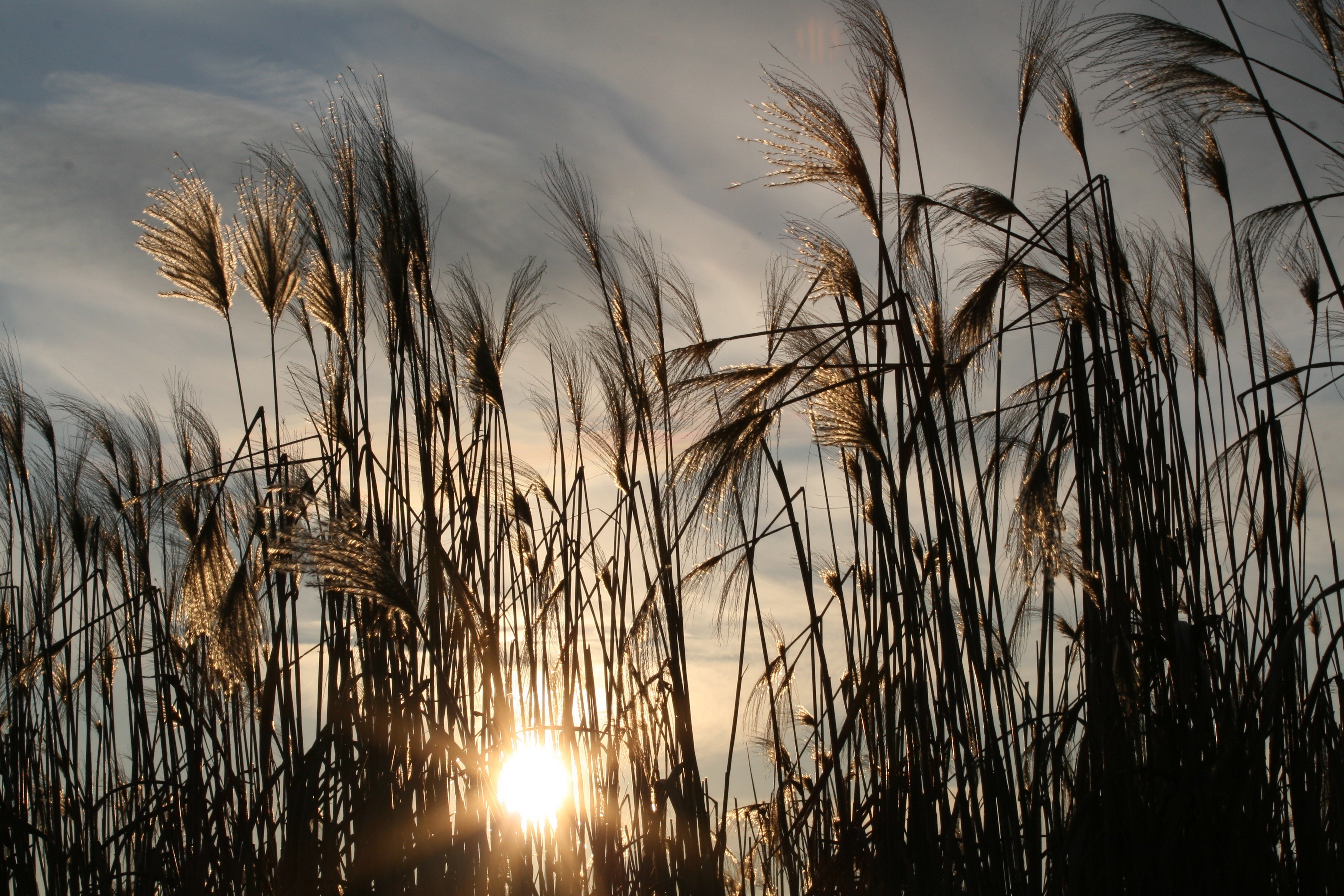 sun nature sea grass sky clouds landscape rest 4k, HD Wallpaper