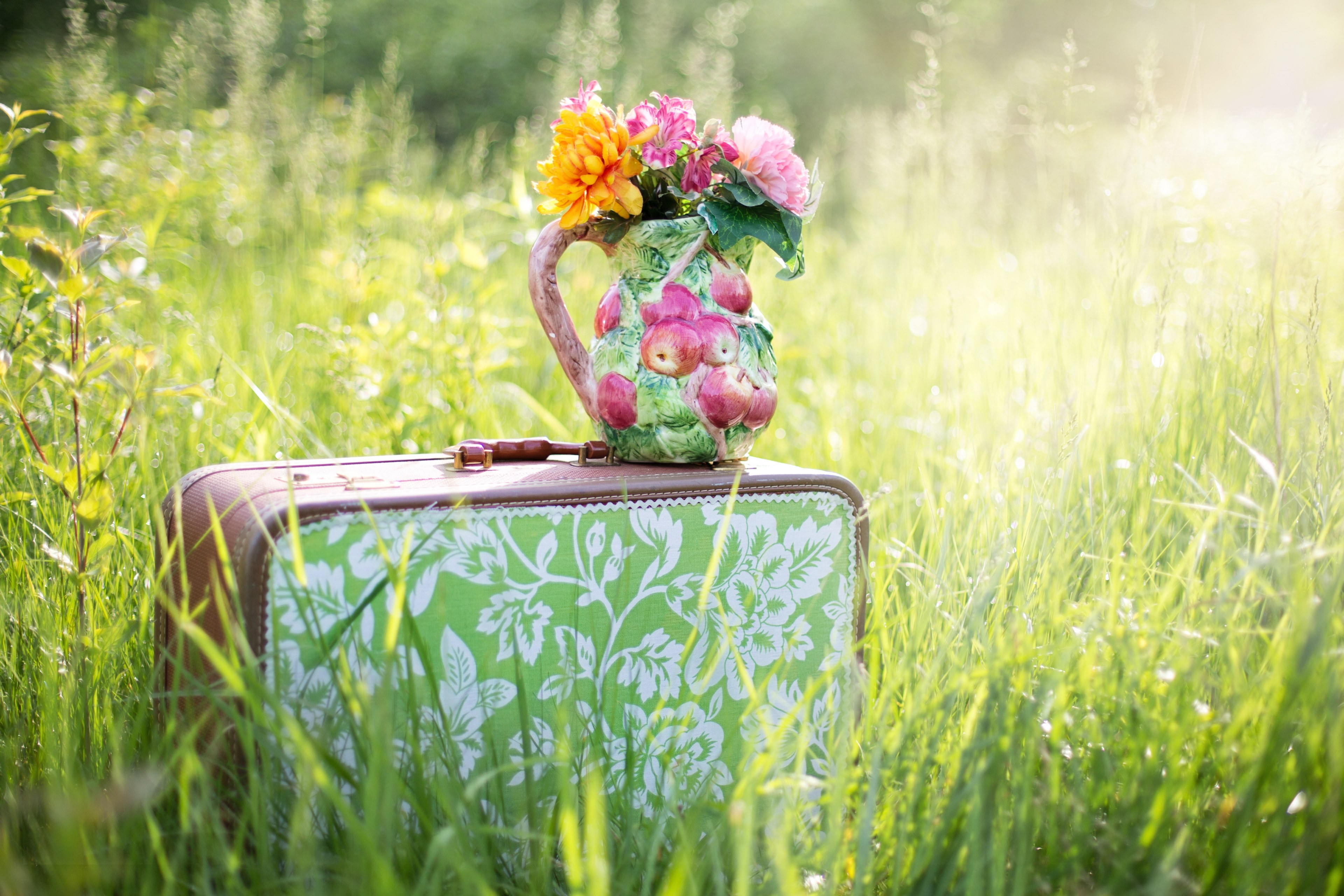 summer still life suitcase in field grass summer 4k, HD Wallpaper