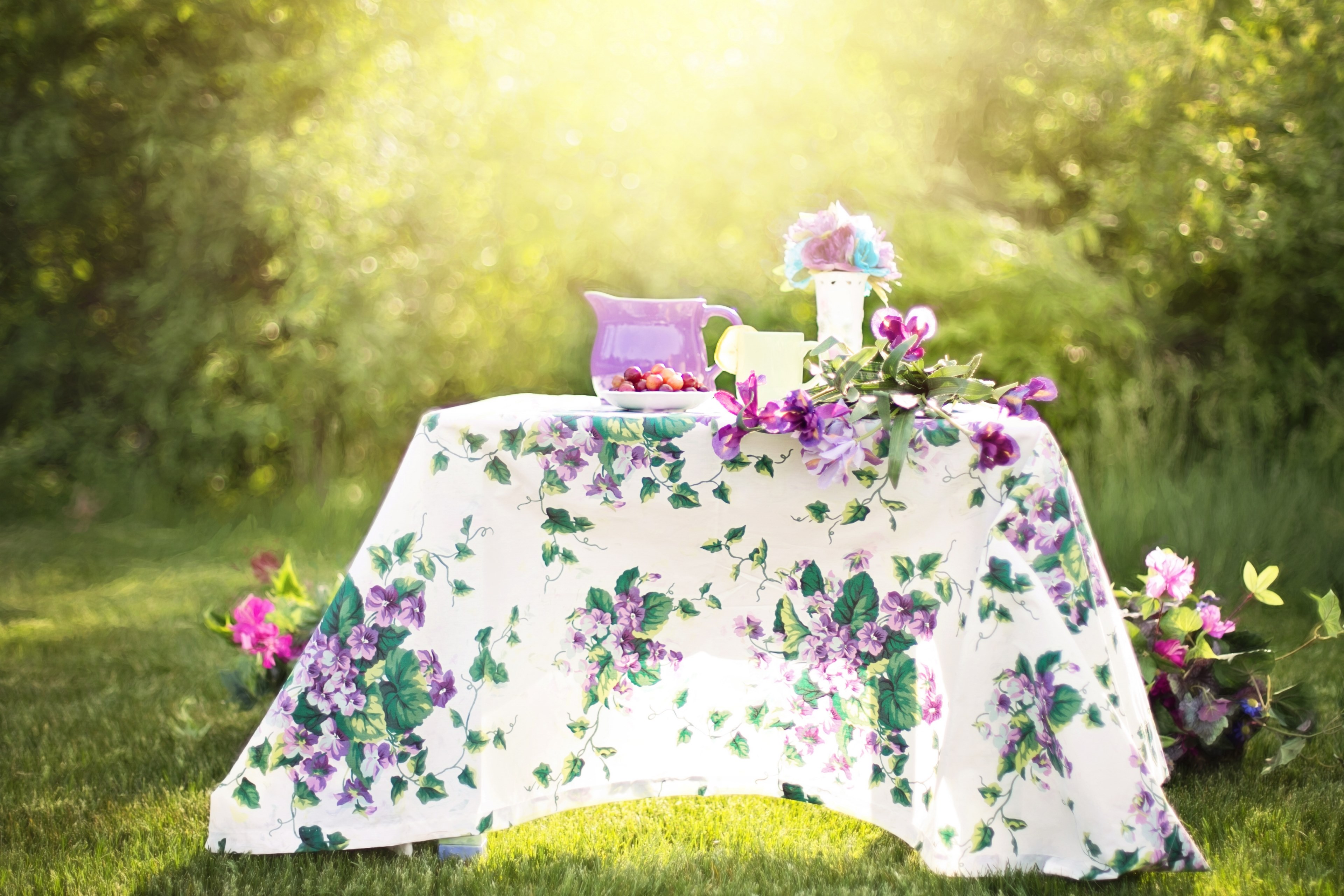 summer still life pitcher garden outdoors 4k, HD Wallpaper